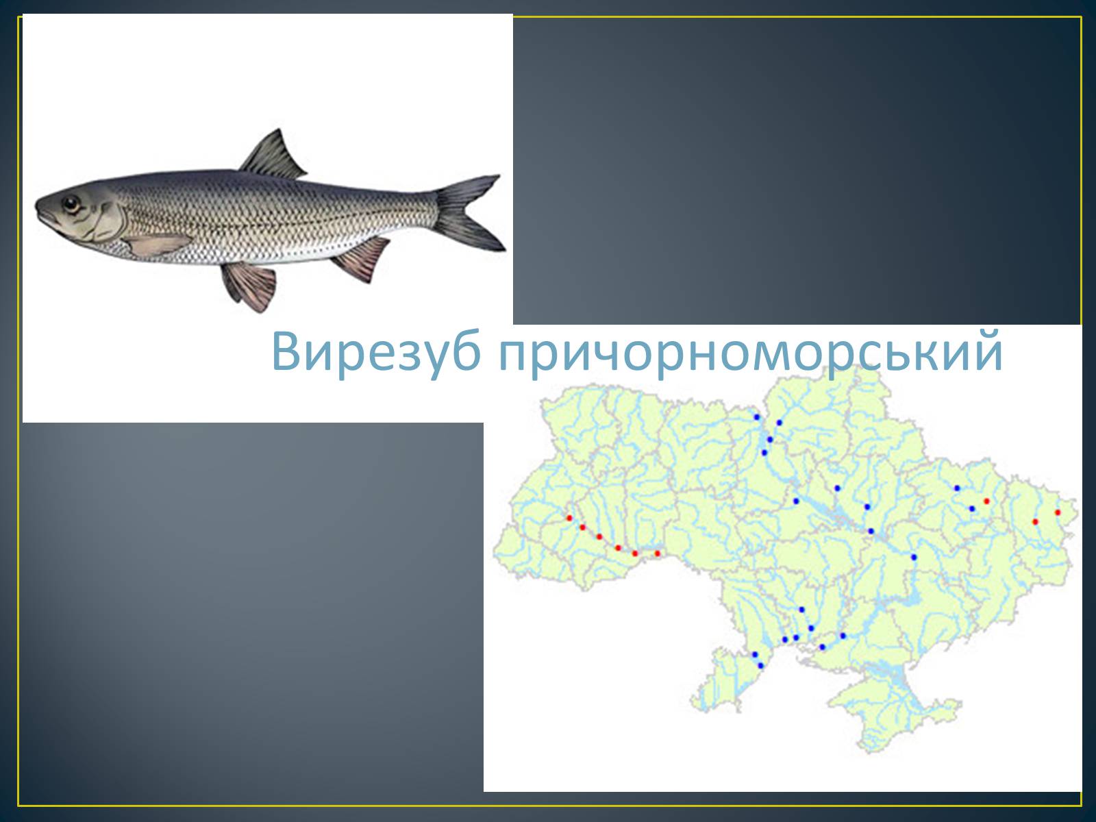 Презентація на тему «Екологічна ситуація в Україні» (варіант 1) - Слайд #74