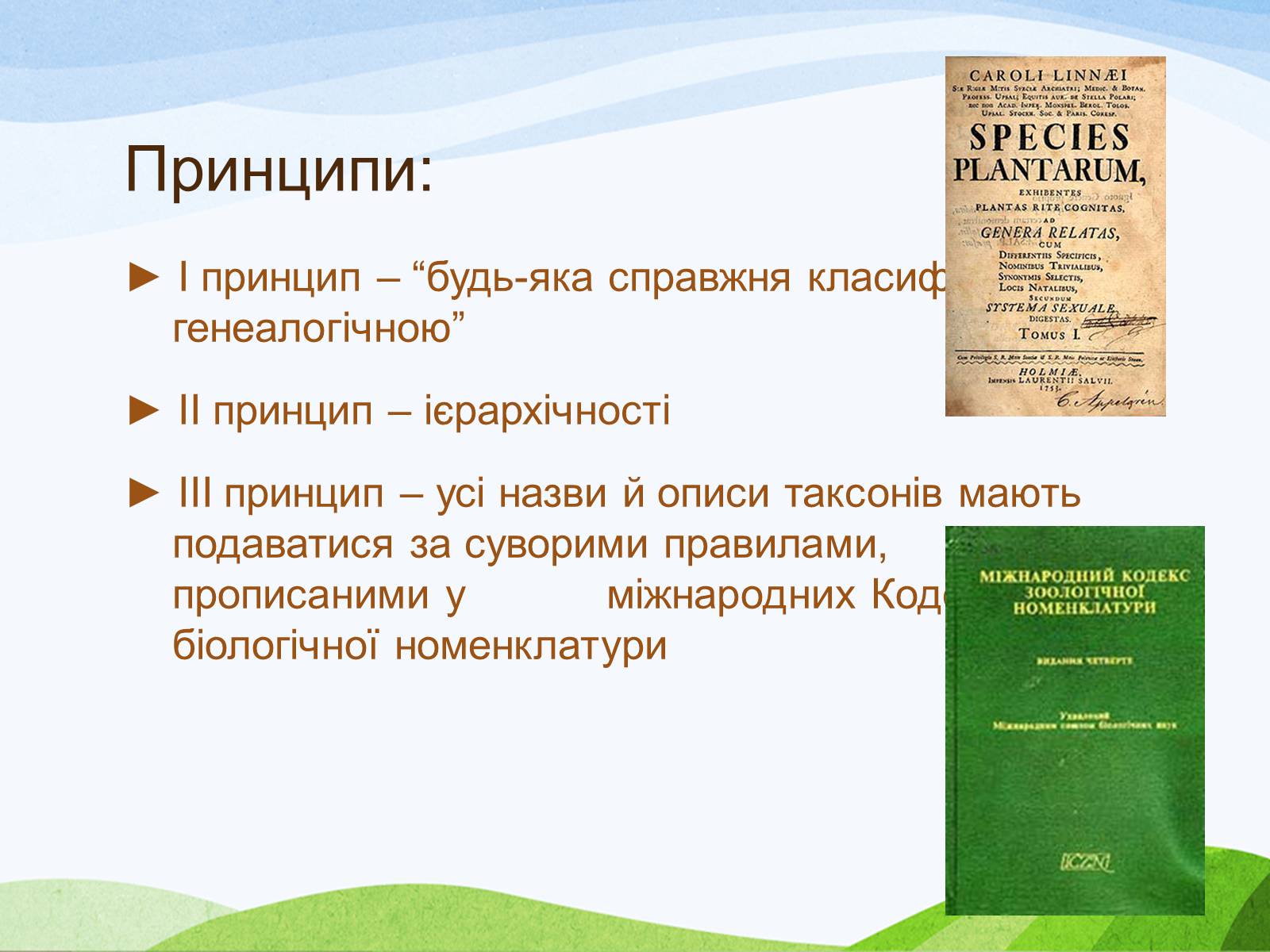 Презентація на тему «Система органічного світу і принципи її побудови» - Слайд #7