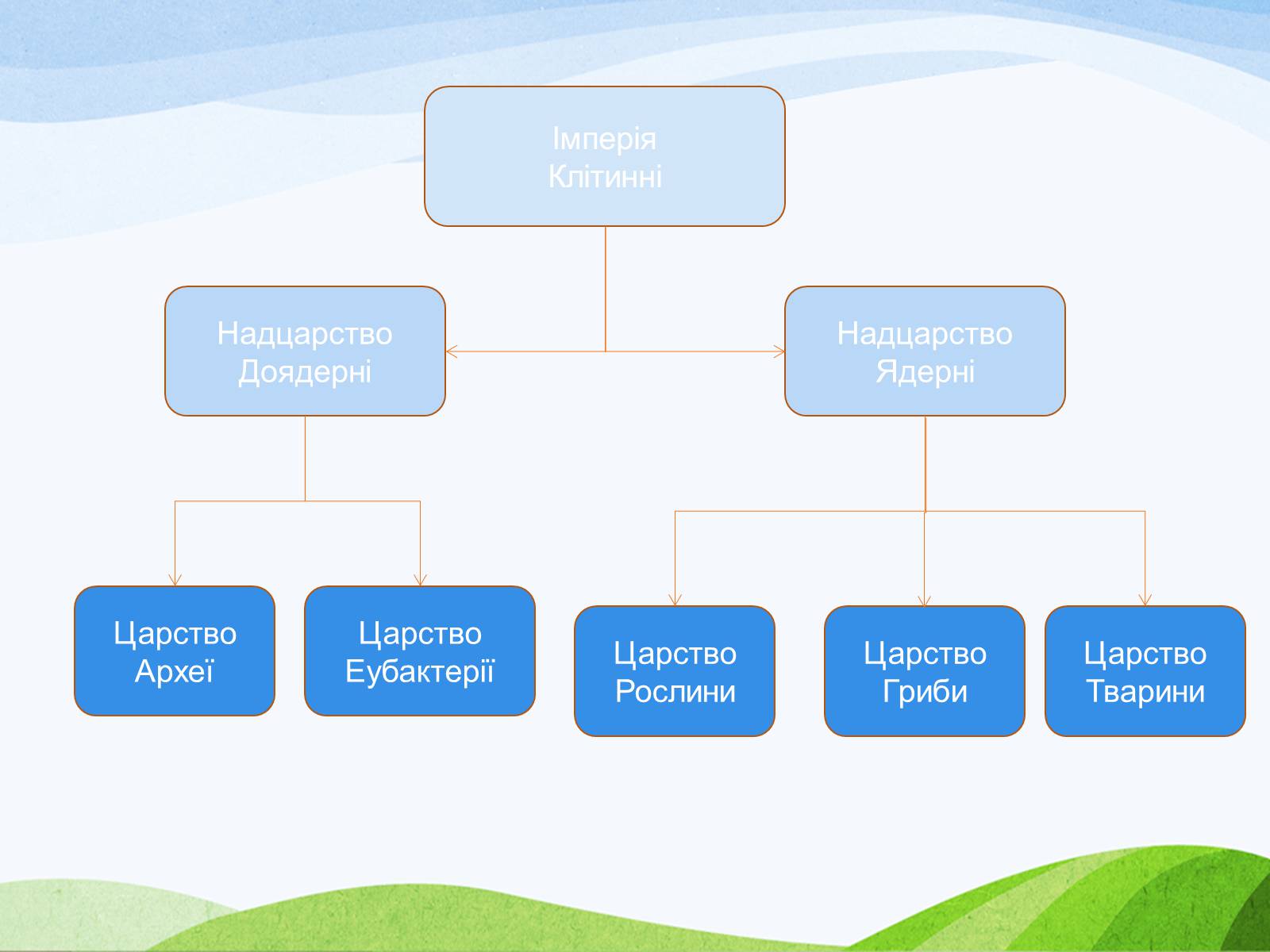 Презентація на тему «Система органічного світу і принципи її побудови» - Слайд #8