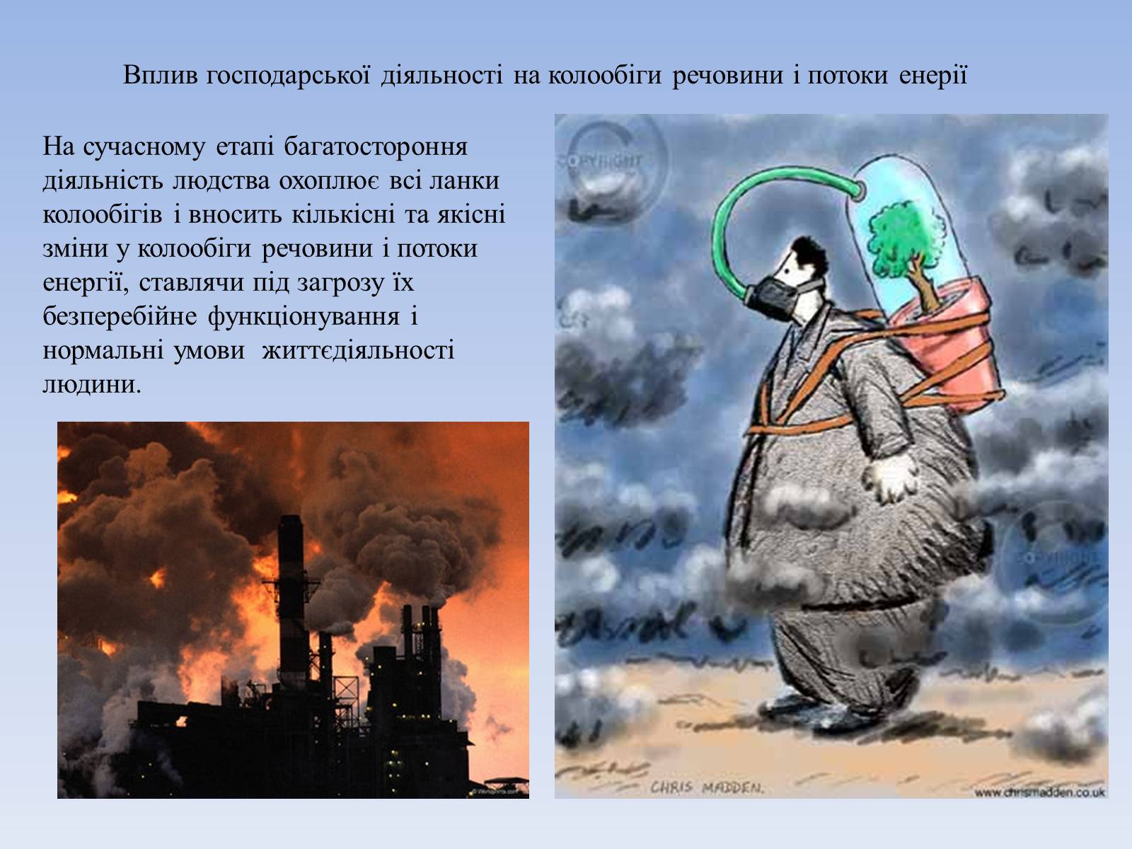 Презентація на тему «Колообіг речовин і потоки енергії як основні системоутворювальні чинники» (варіант 3) - Слайд #11