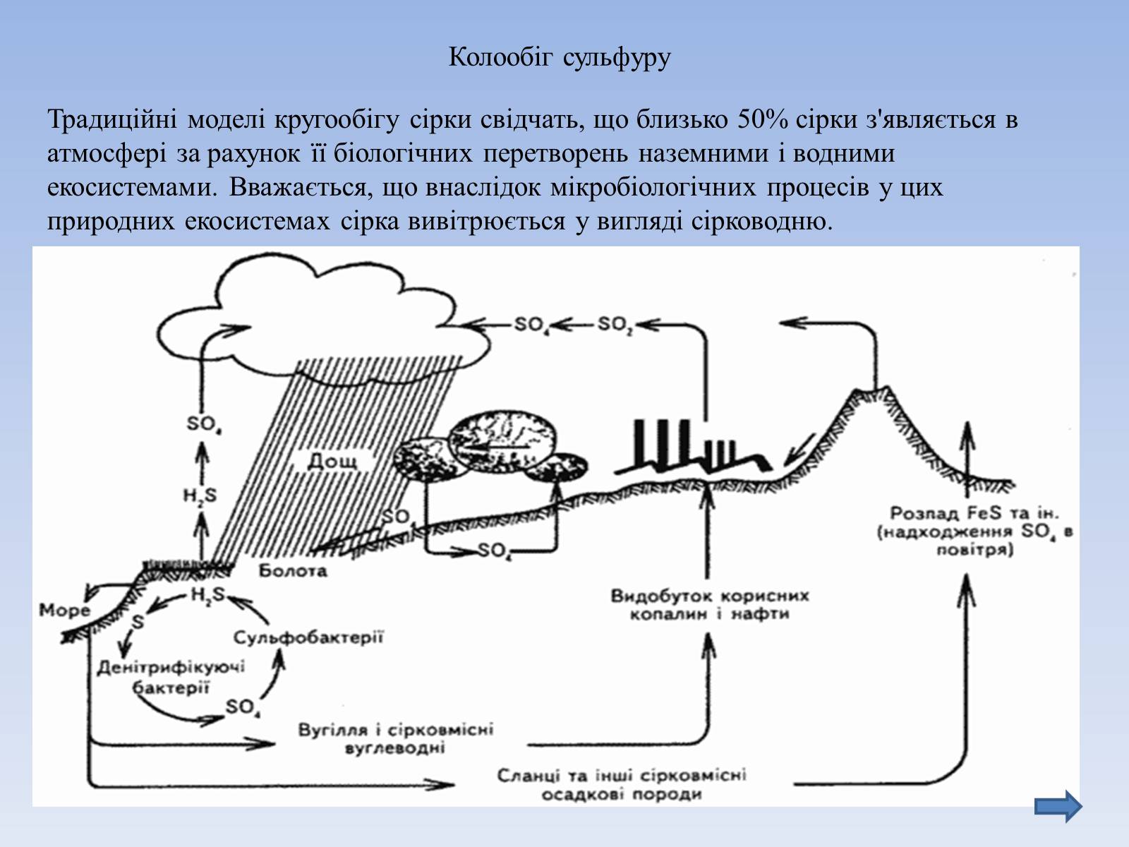 Презентація на тему «Колообіг речовин і потоки енергії як основні системоутворювальні чинники» (варіант 3) - Слайд #9