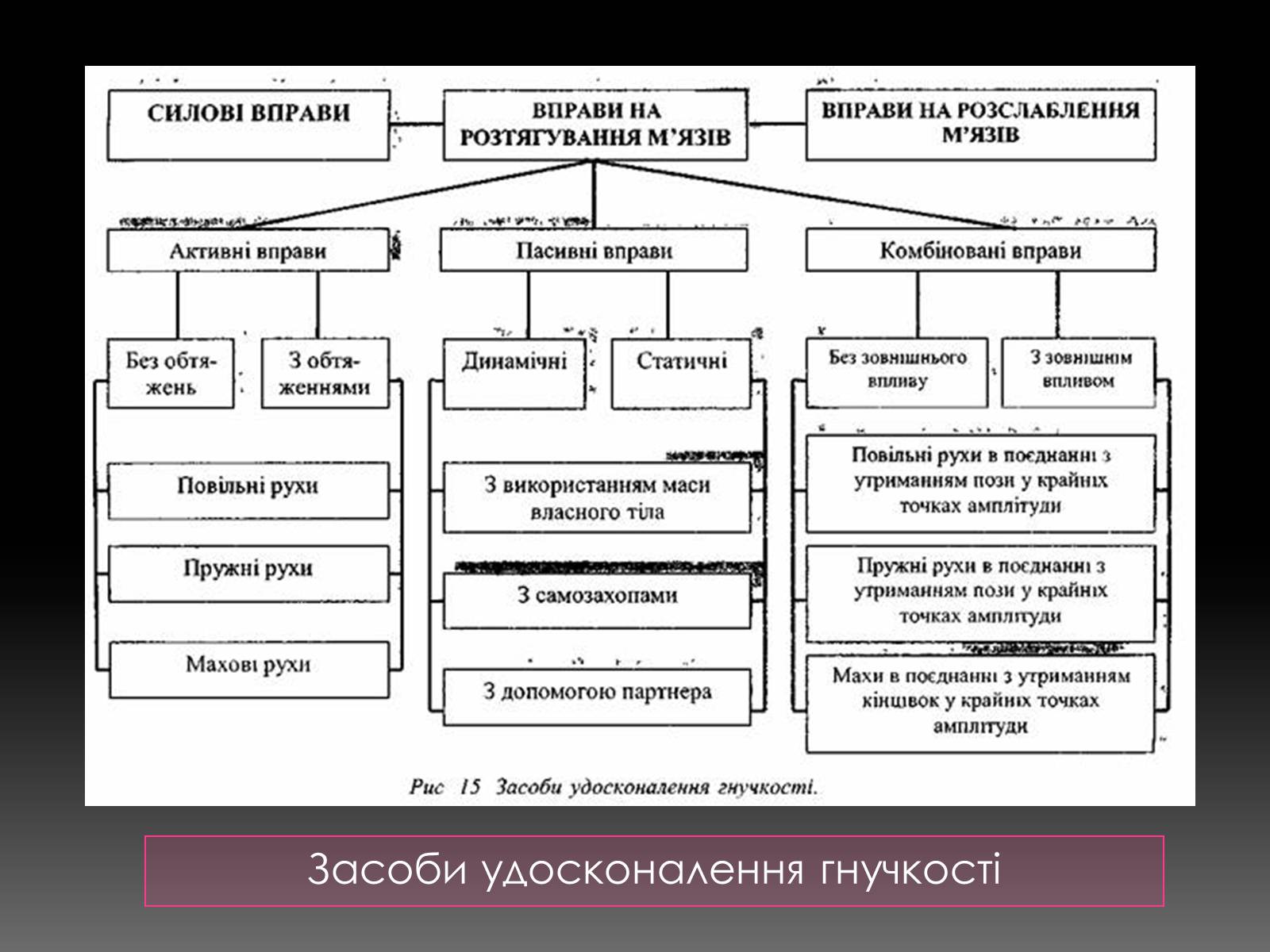 Презентація на тему «Методика розвитку гнучкості» - Слайд #8