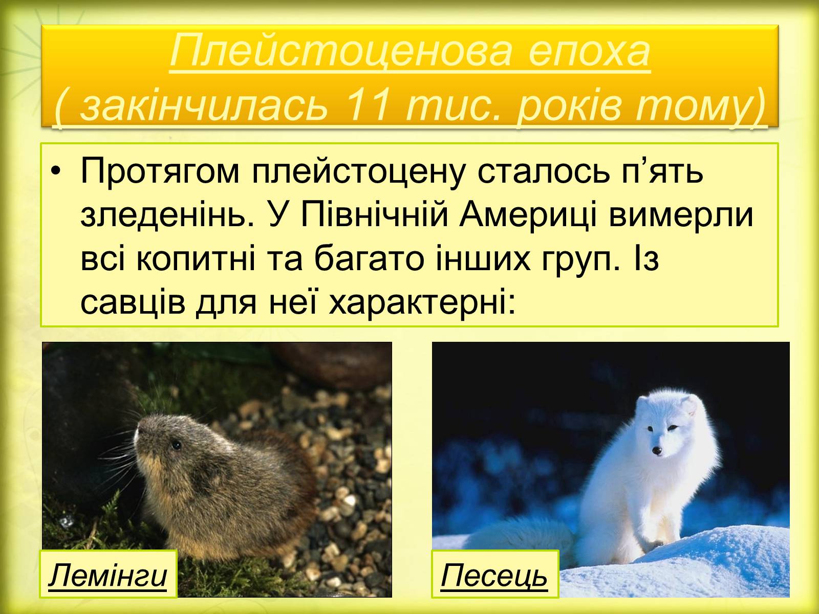 Презентація на тему «Історичний розвиток органічного світу» (варіант 2) - Слайд #20