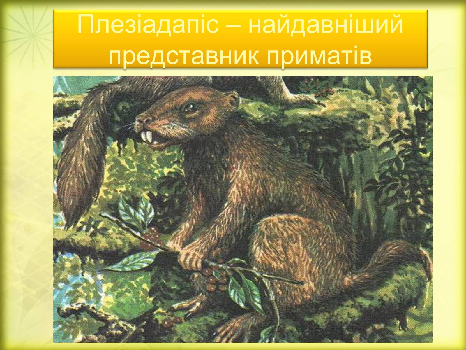 Презентація на тему «Історичний розвиток органічного світу» (варіант 2) - Слайд #6