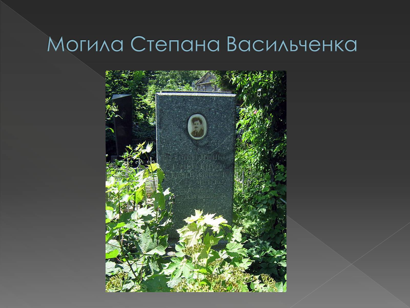 Презентація на тему «Васильченко Степан Васильович» - Слайд #12