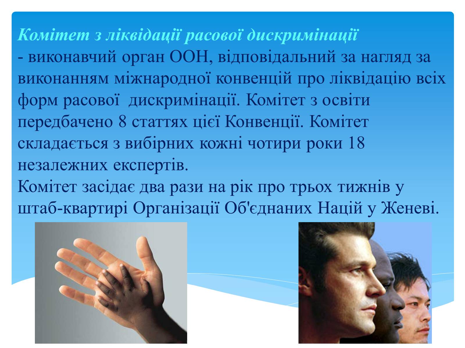 Презентація на тему «Міжнародні механізми захисту прав людини» (варіант 1) - Слайд #14