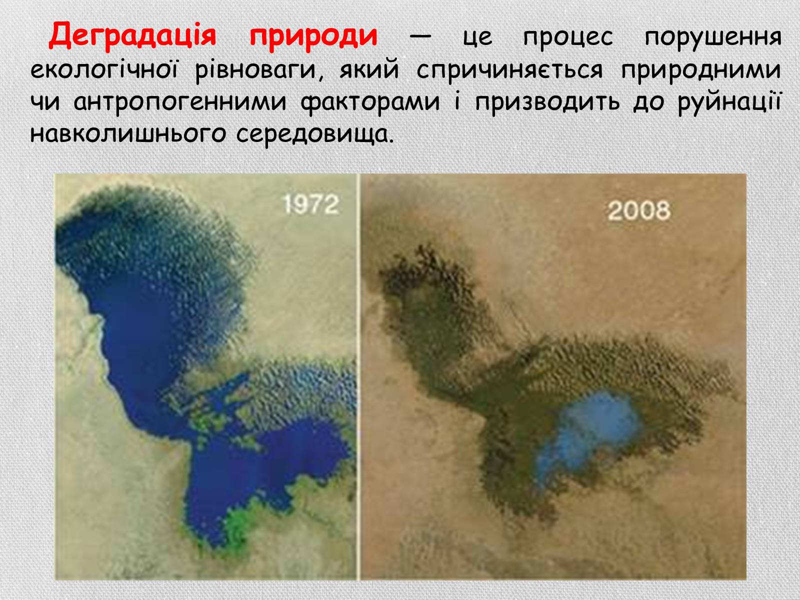 Какие реки впадают в озеро чад