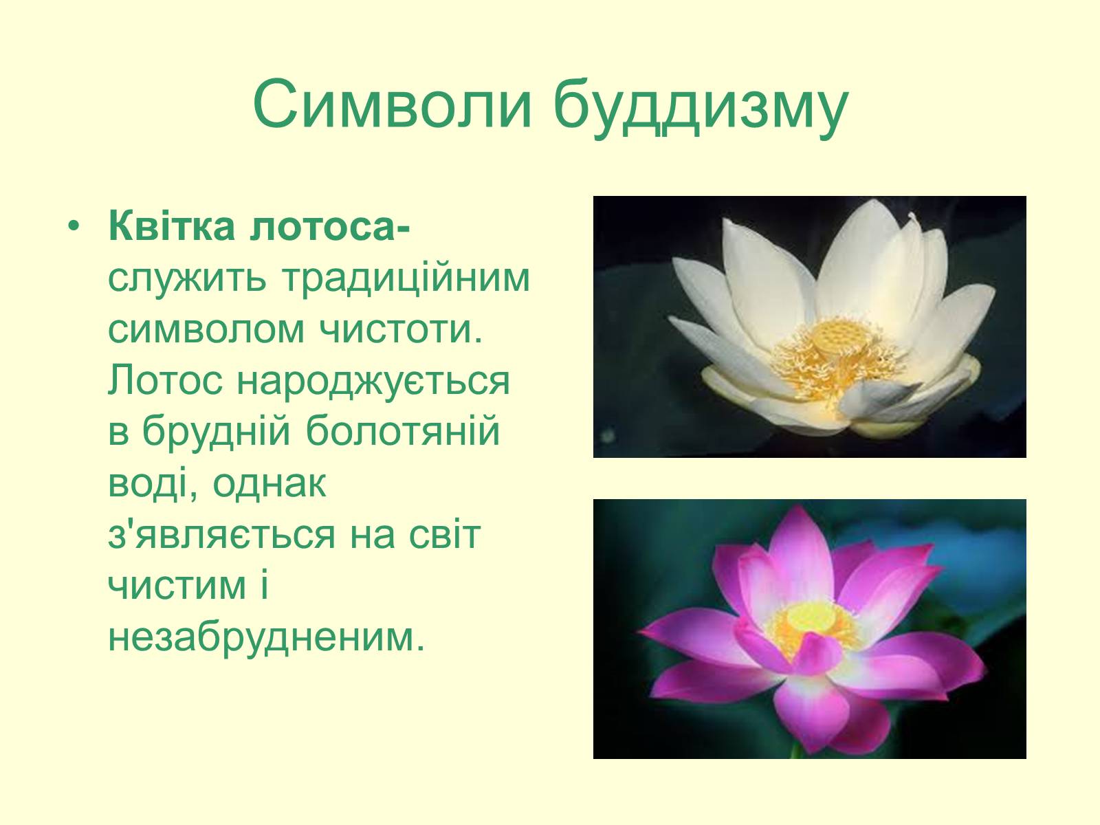 Презентація на тему «Буддизм» - Слайд #12 Презентація на тему «Буддизм» - Слайд #12