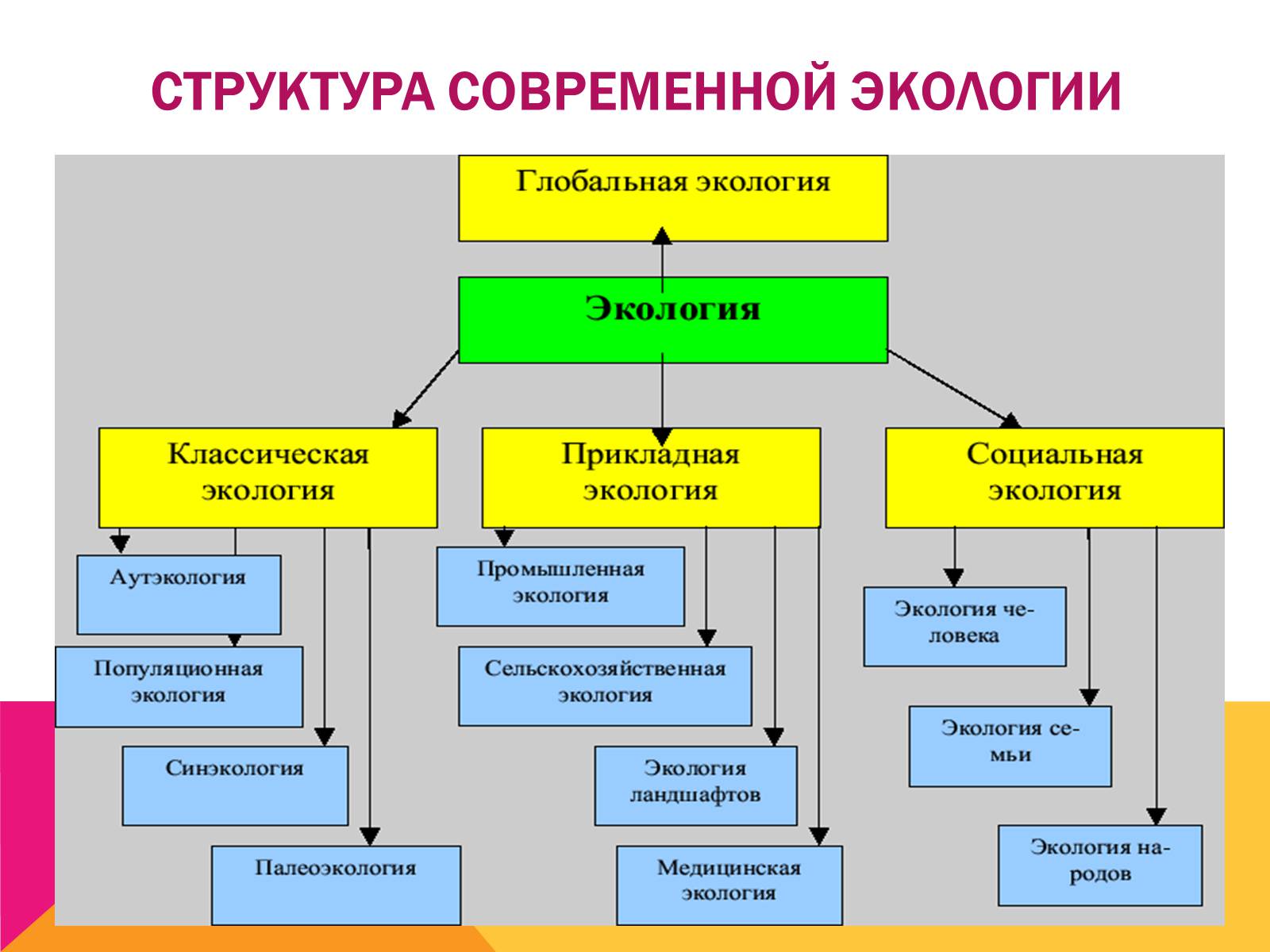 Презентація на тему «Экология, как наука: ее предмет и задачи» - Слайд #14