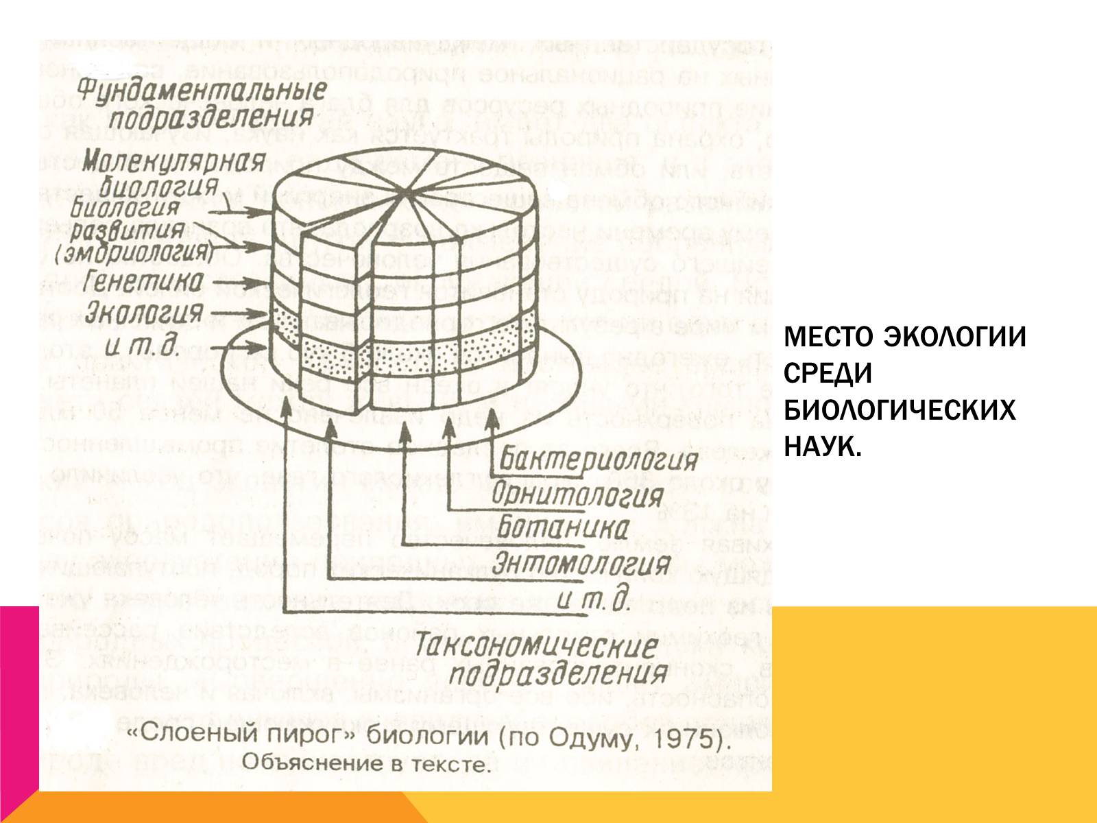 Презентація на тему «Экология, как наука: ее предмет и задачи» - Слайд #16