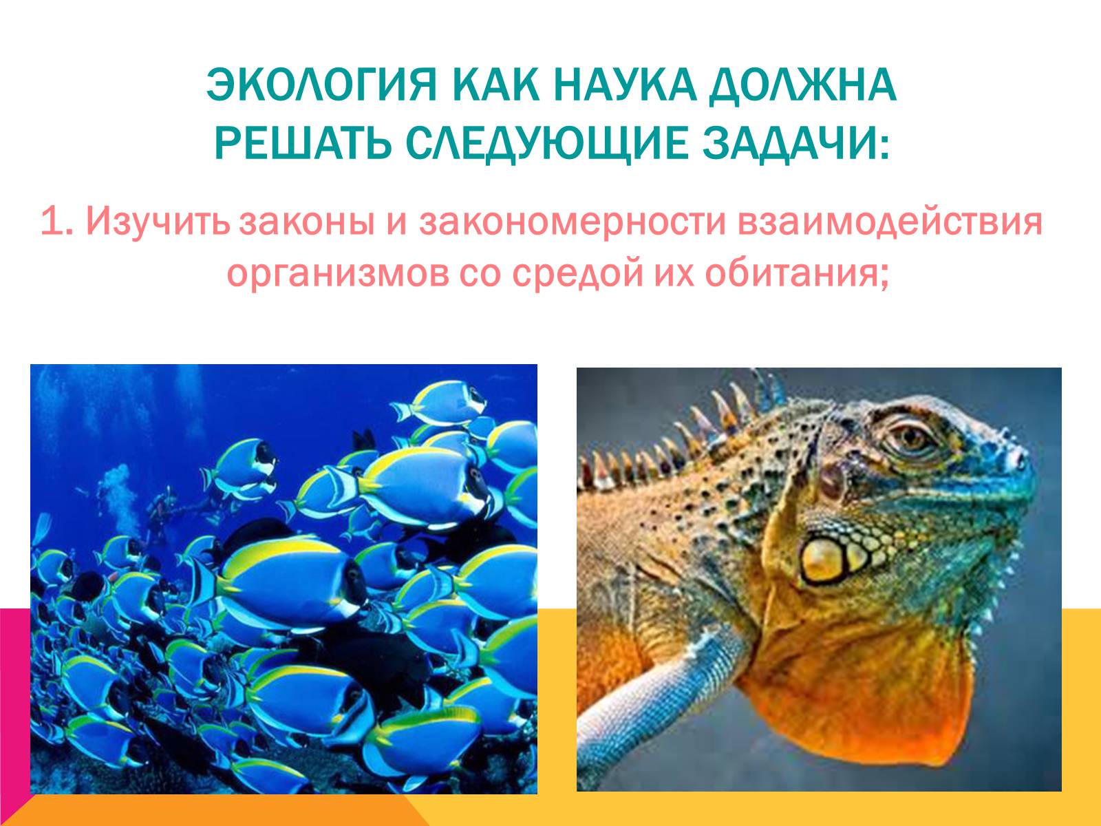 Презентація на тему «Экология, как наука: ее предмет и задачи» - Слайд #7