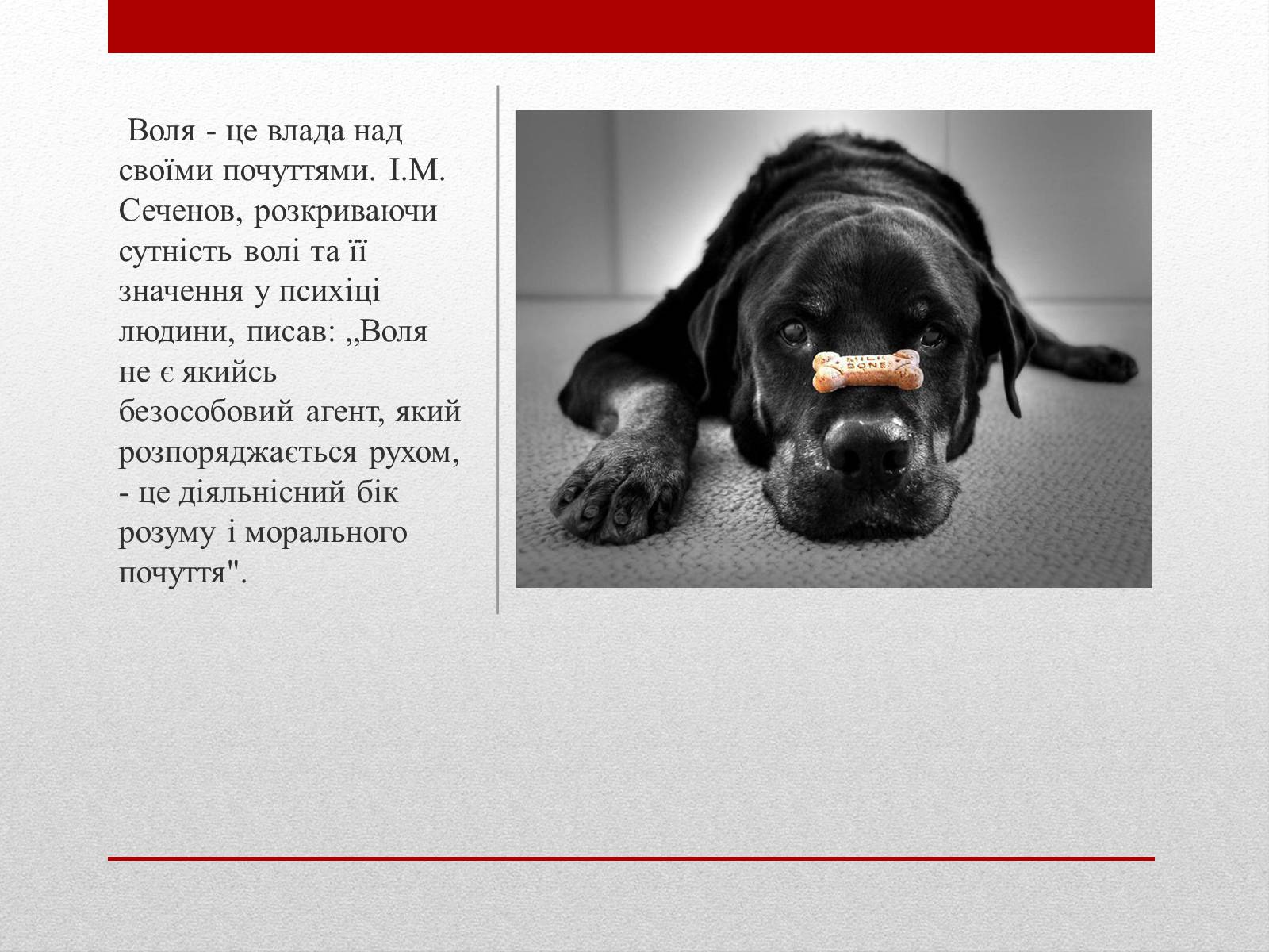 Презентація на тему «Загальне поняття про вольову діяльність людини. Розвиток сили волі» - Слайд #9