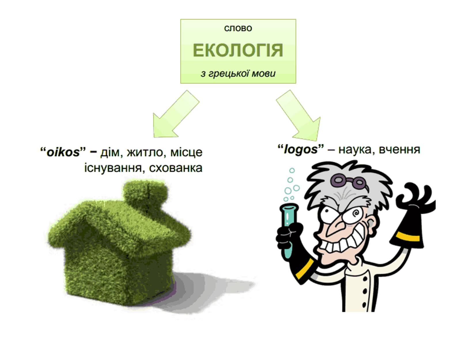 Презентація на тему «Екологія як наука про довкілля» (варіант 4) - Слайд #2