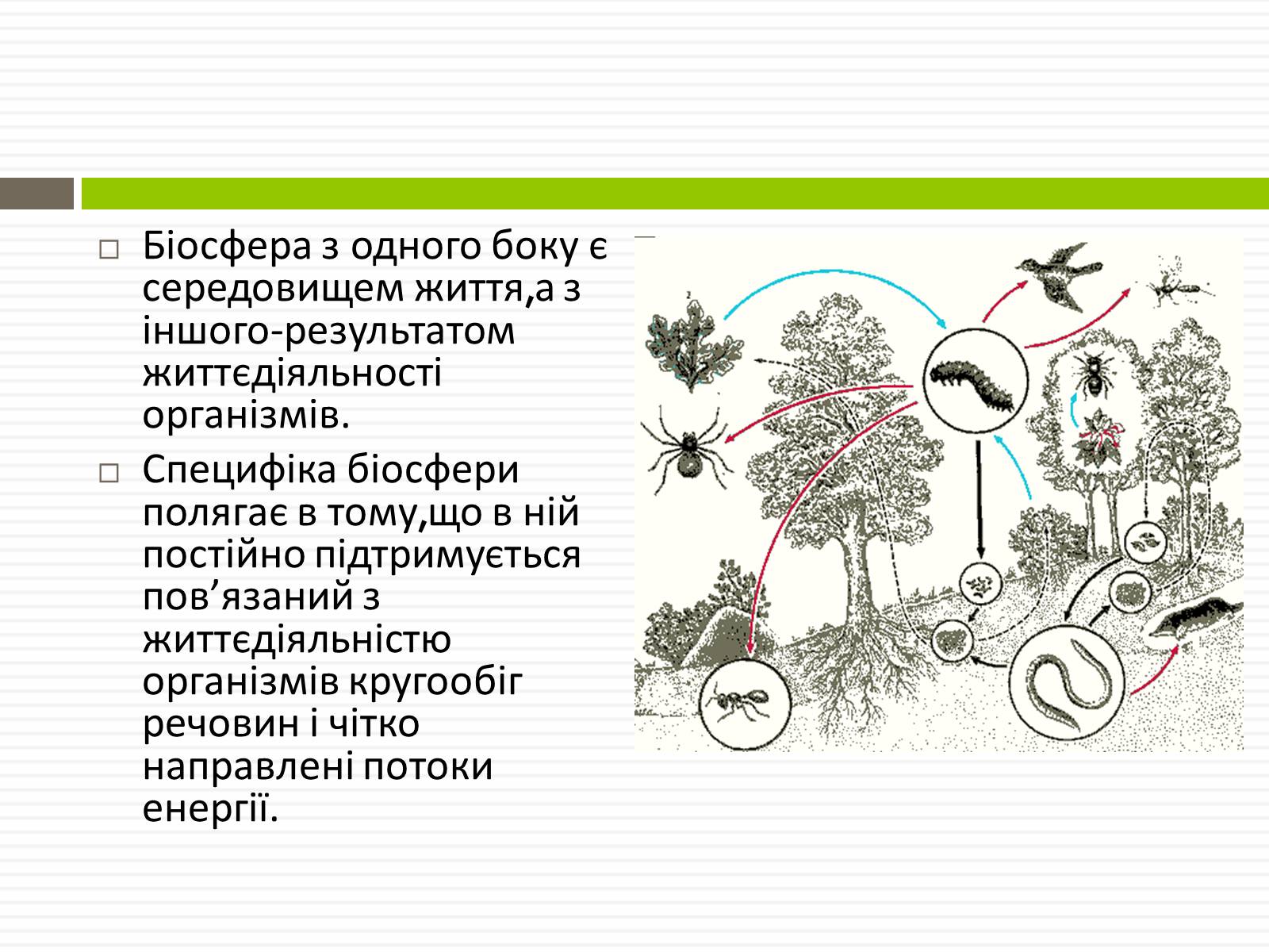 Презентація на тему «Біосфера.Основні положення вчень В.Вернадського про біосферу» - Слайд #4