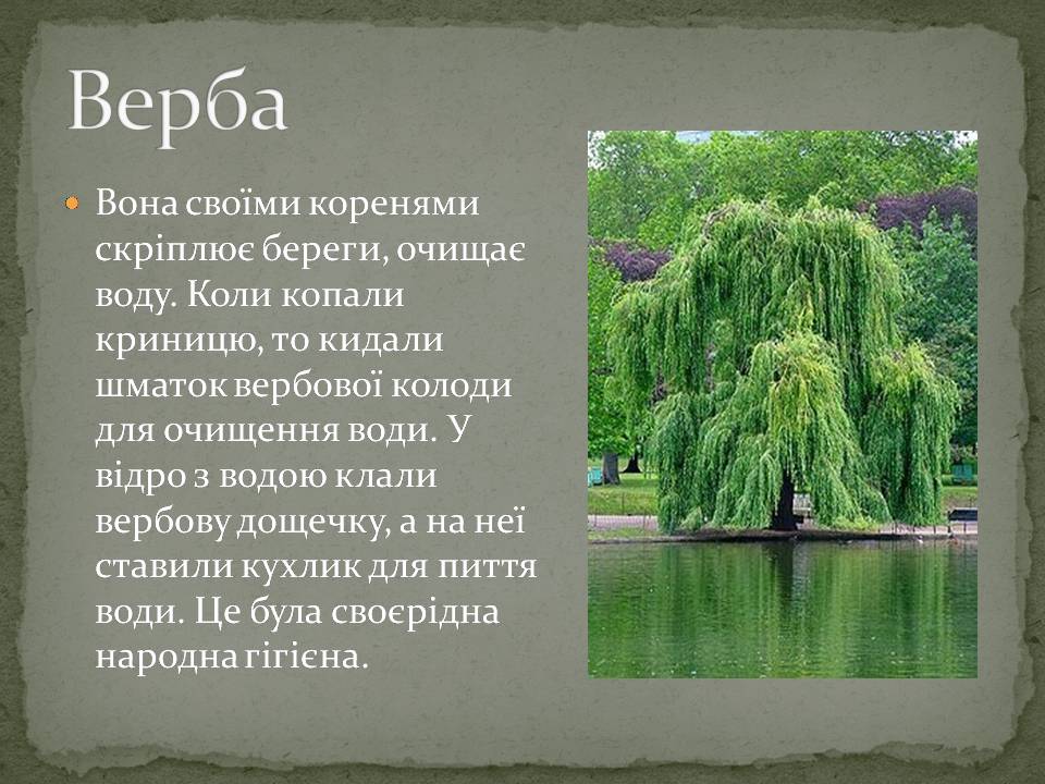 Презентація на тему «Народні символи України» (варіант 2) - Слайд #2