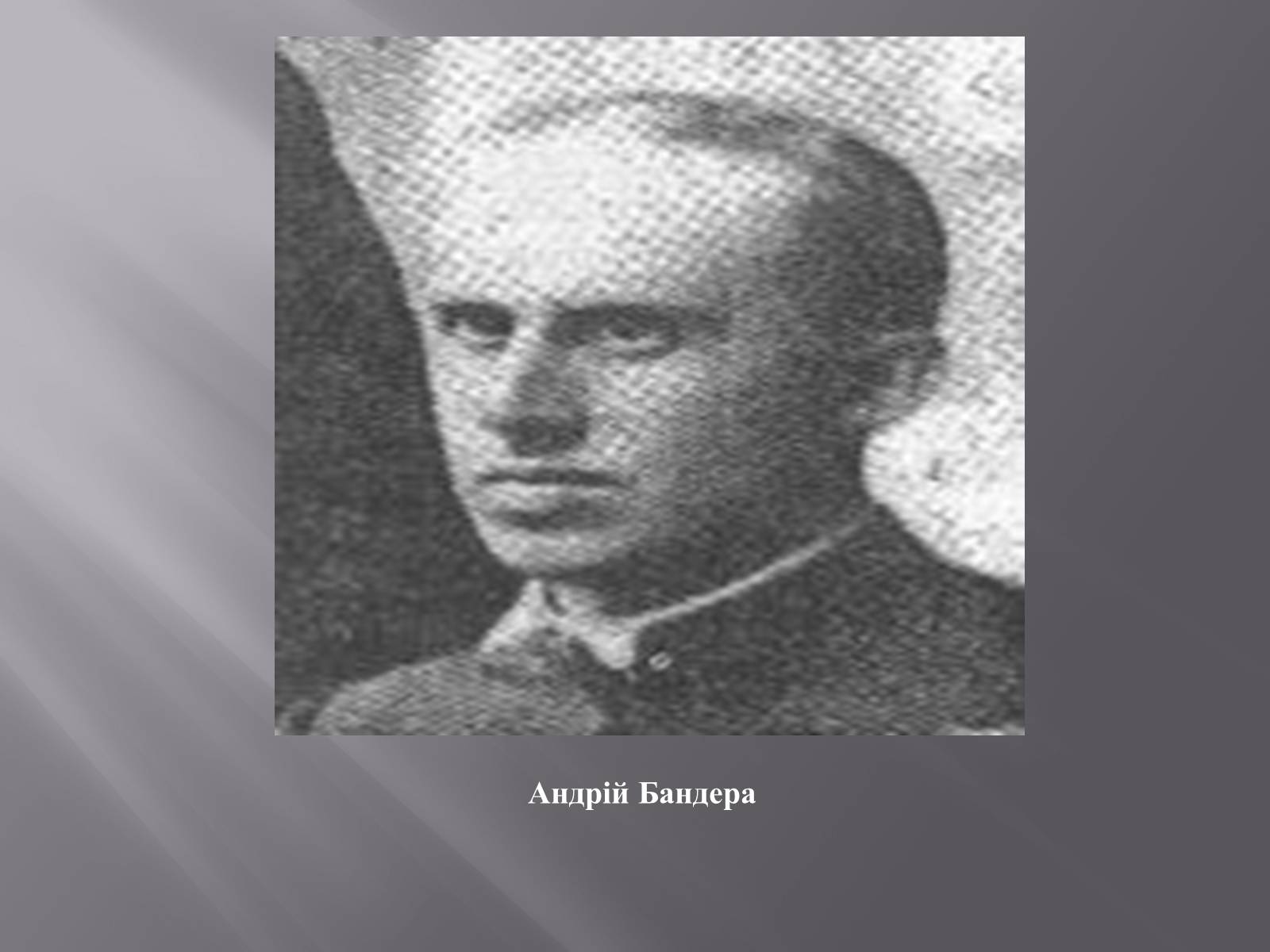 Презентація на тему «Львівський національний університет імені Івана Франка» - Слайд #9