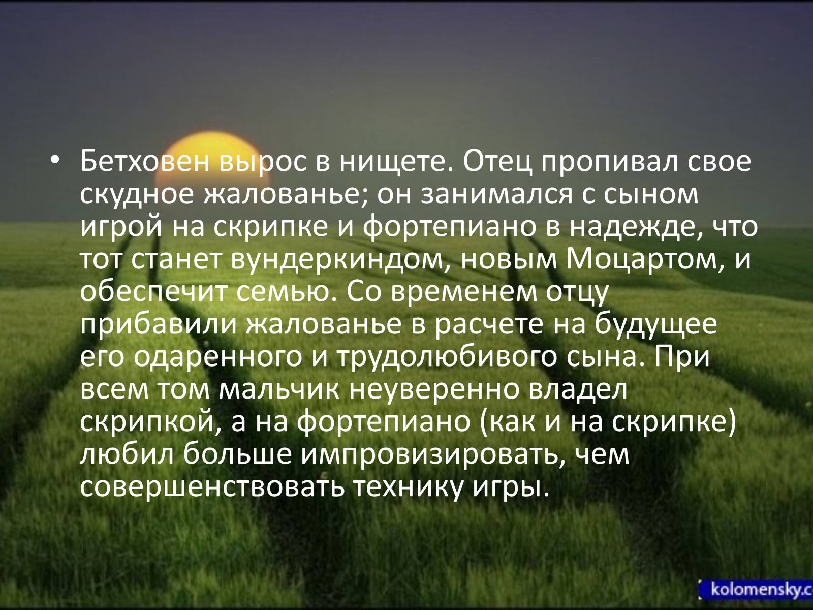 Факты о бетховене. Факты о жизни Бетховена. Интересные факты о Бетховене. Интересные факты из жизни Бетховена. Пять интересных фактов о Бетховене.