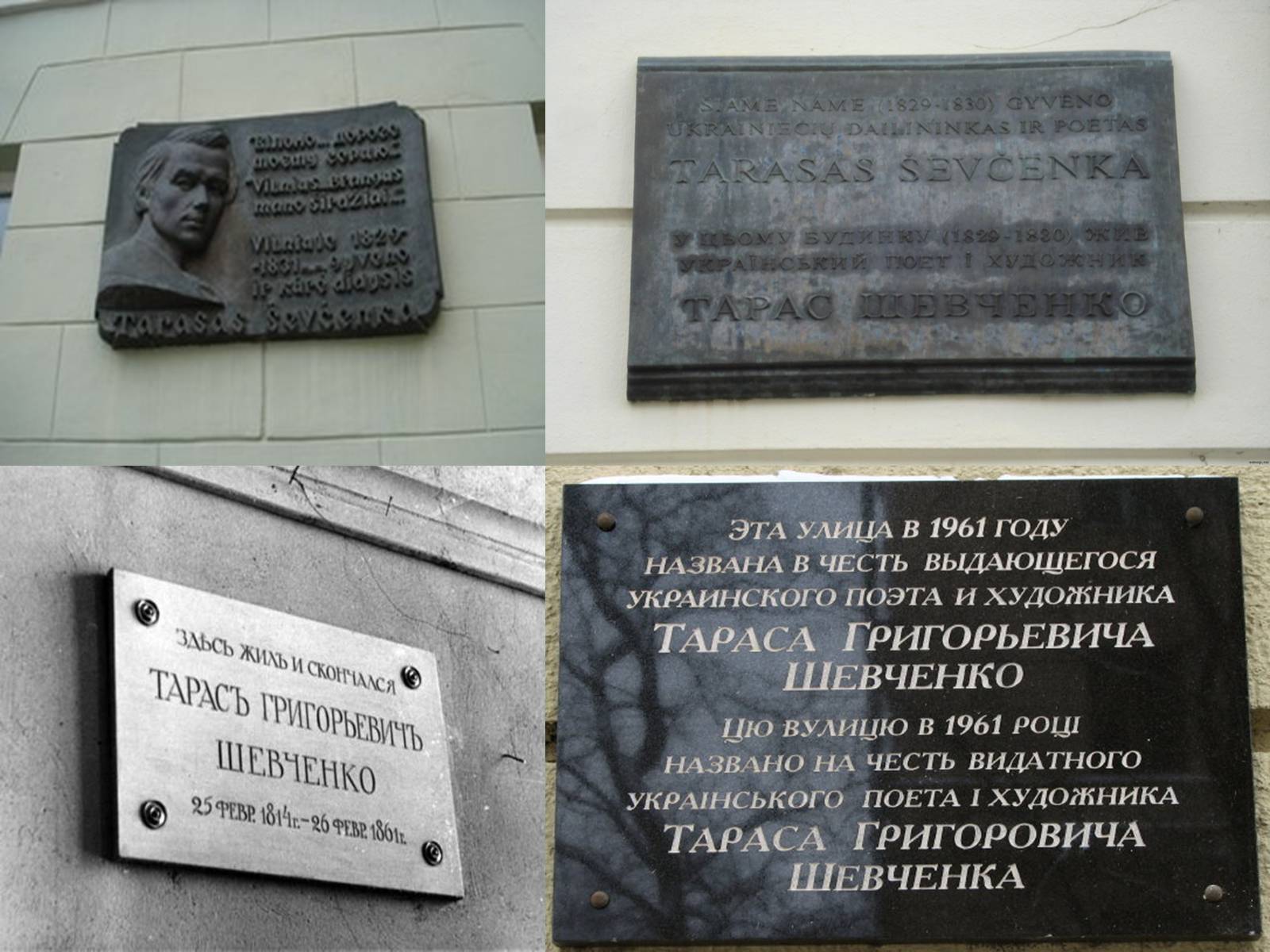 Презентація на тему «Вшанування пам&#8217;яті Тараса Шевченка» (варіант 2) - Слайд #8