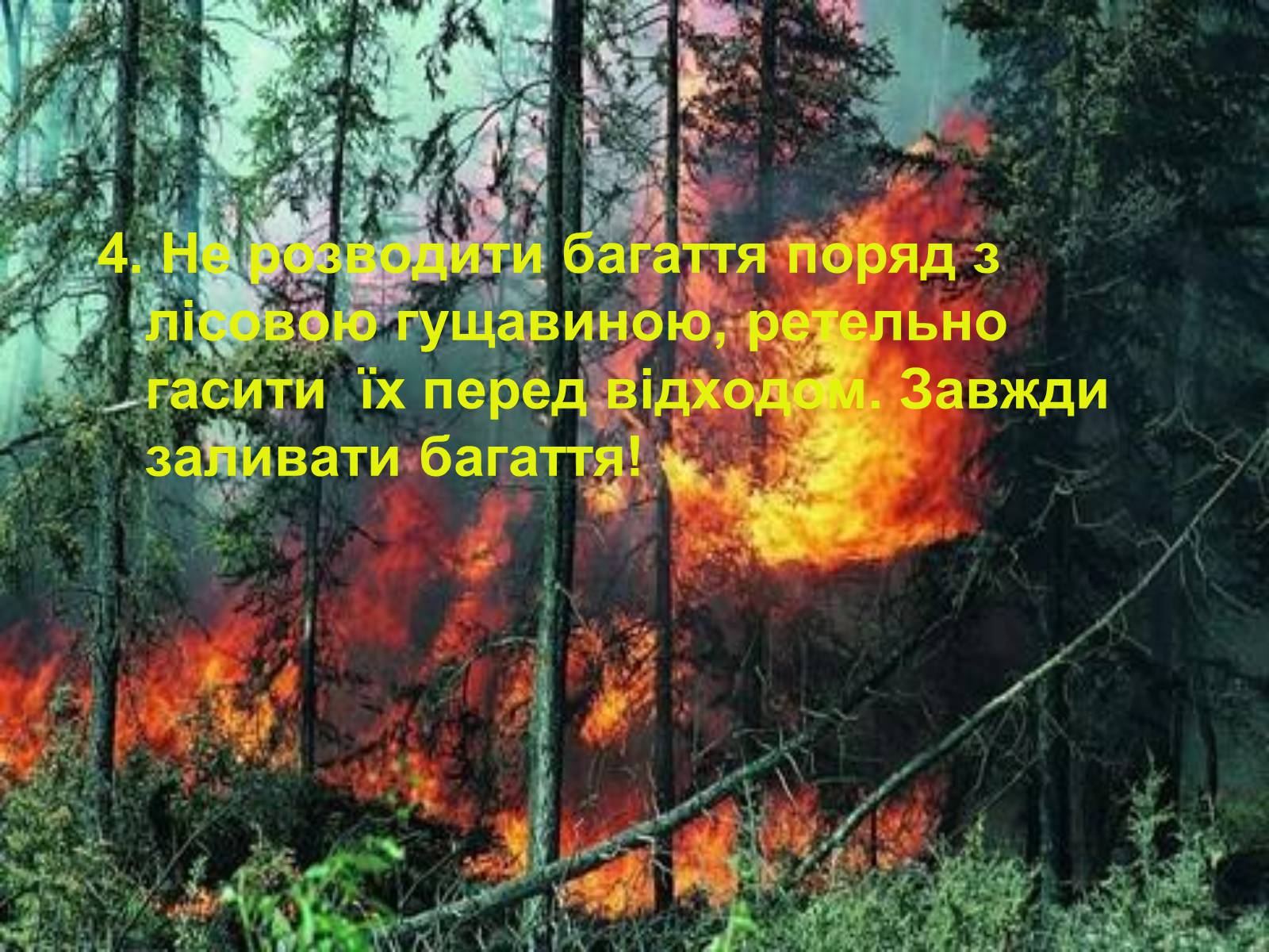 Презентація на тему «Правила поведінки в природі» - Слайд #5