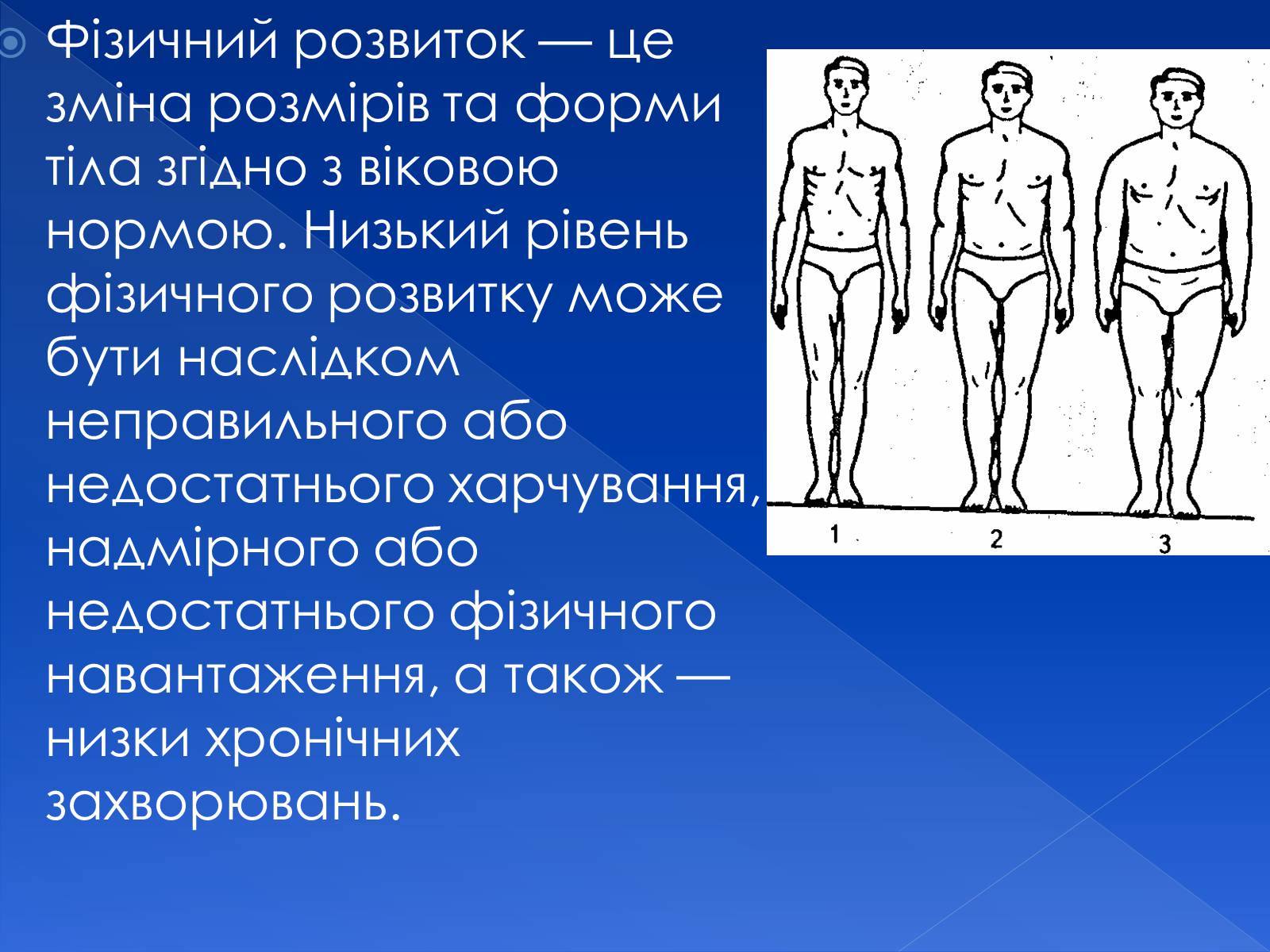 Презентація на тему «Фізіологічна та соціологічна зрілість» - Слайд #8