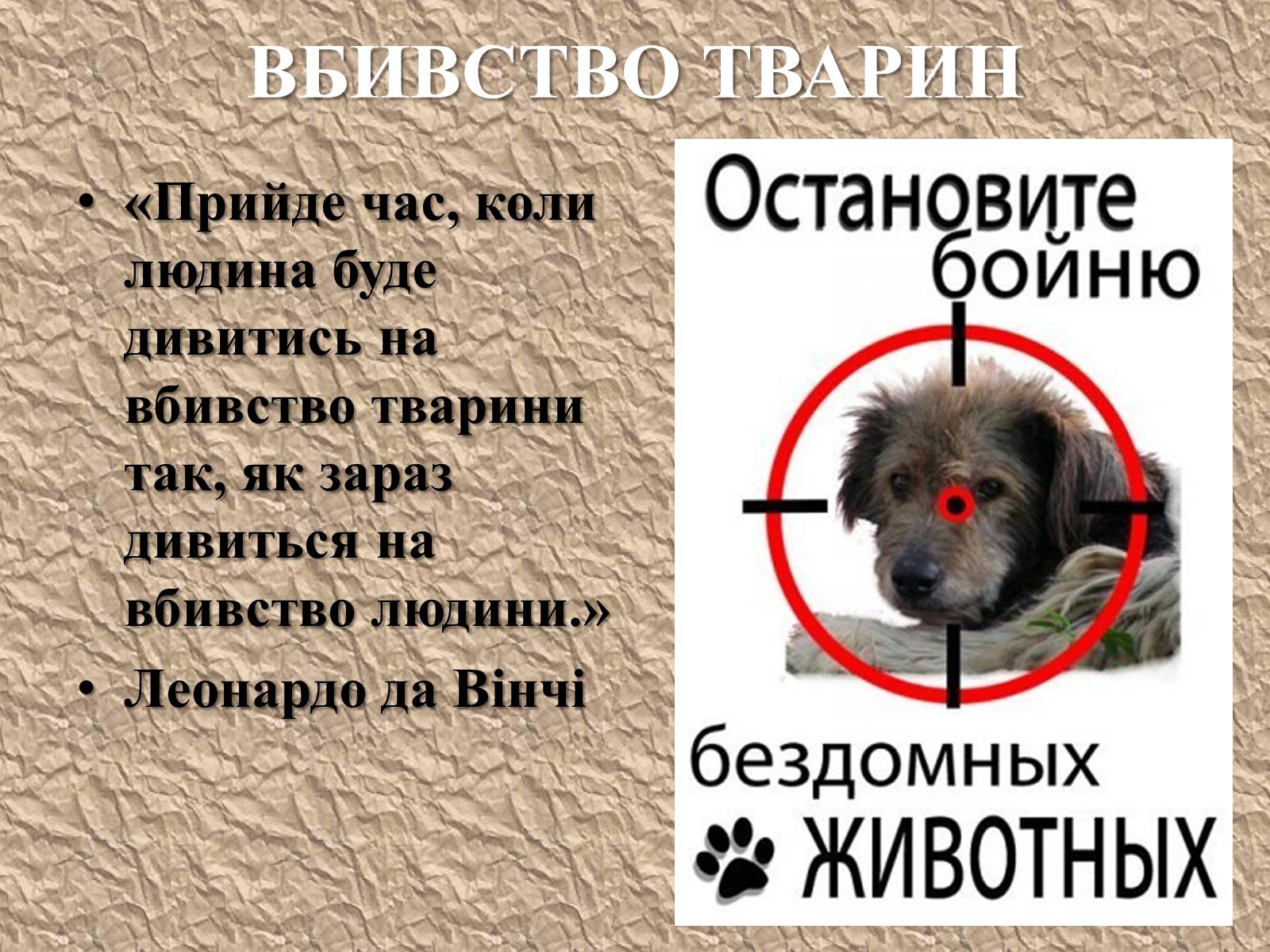 Презентація на тему «Захист безпритульних тварин» - Слайд #10