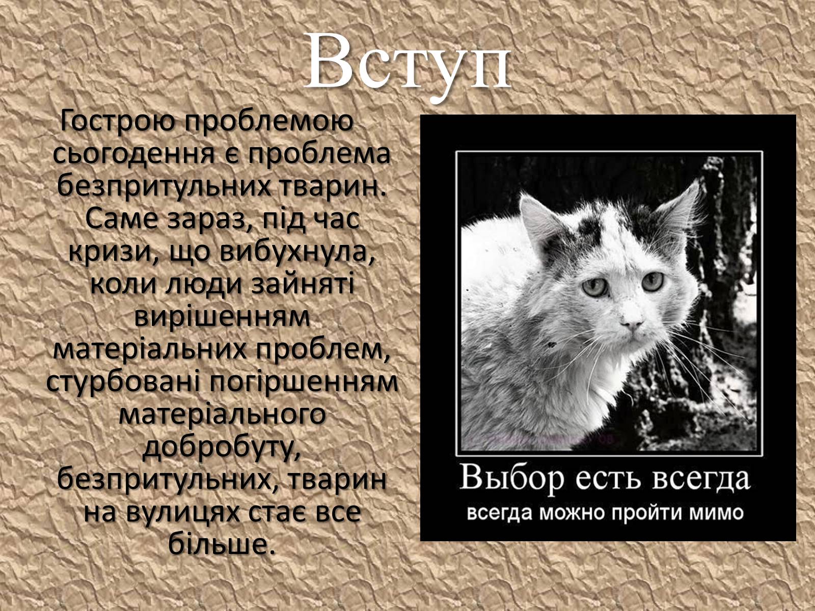 Презентація на тему «Захист безпритульних тварин» - Слайд #2