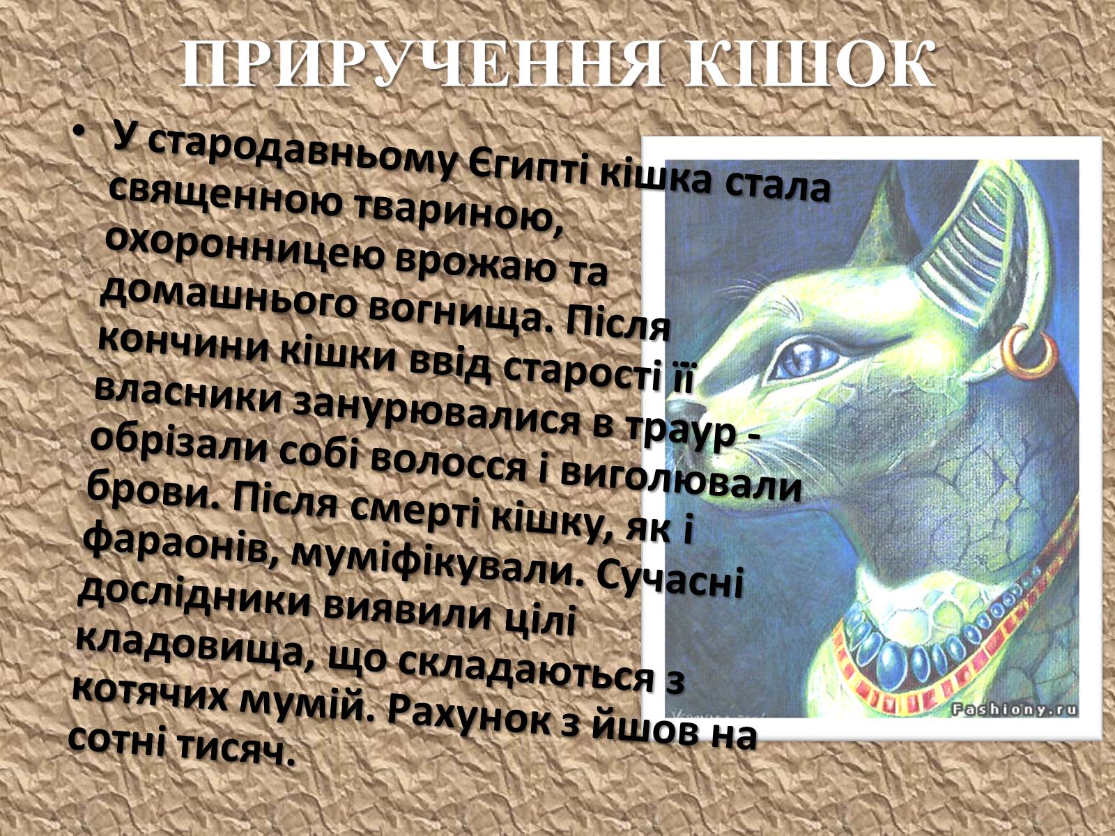 Презентація на тему «Захист безпритульних тварин» - Слайд #4