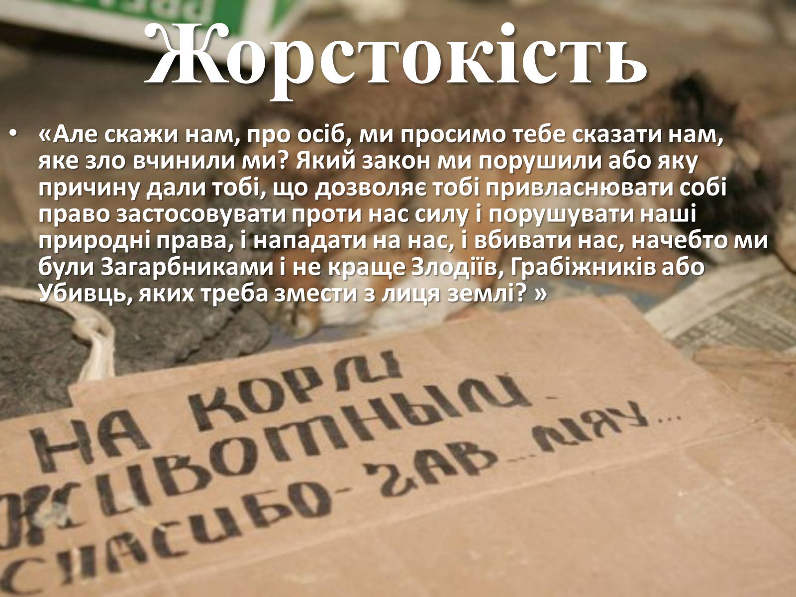 Презентація на тему «Захист безпритульних тварин» - Слайд #8