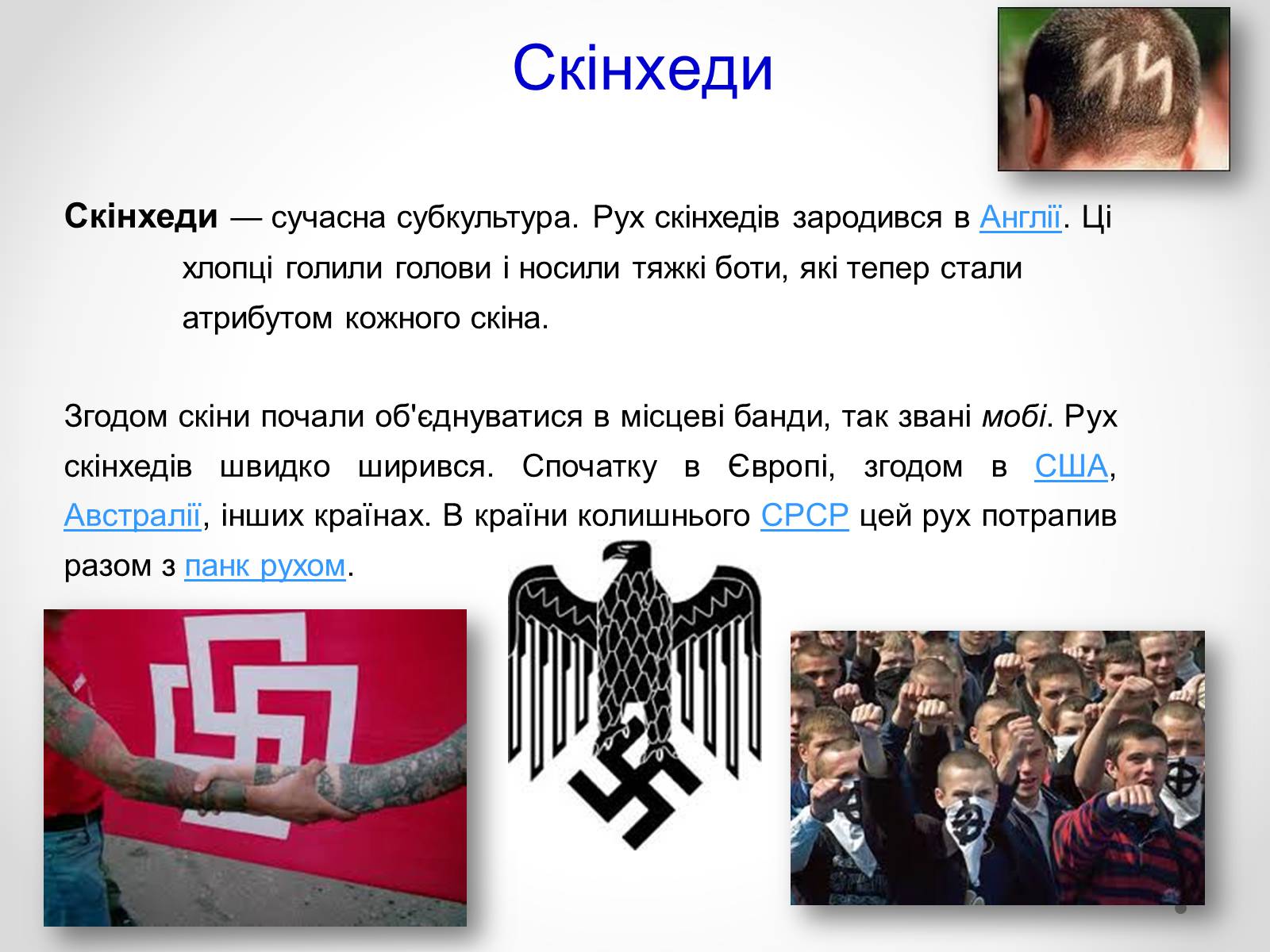 Презентація на тему «Молодіжні субкультури» (варіант 12) - Слайд #8