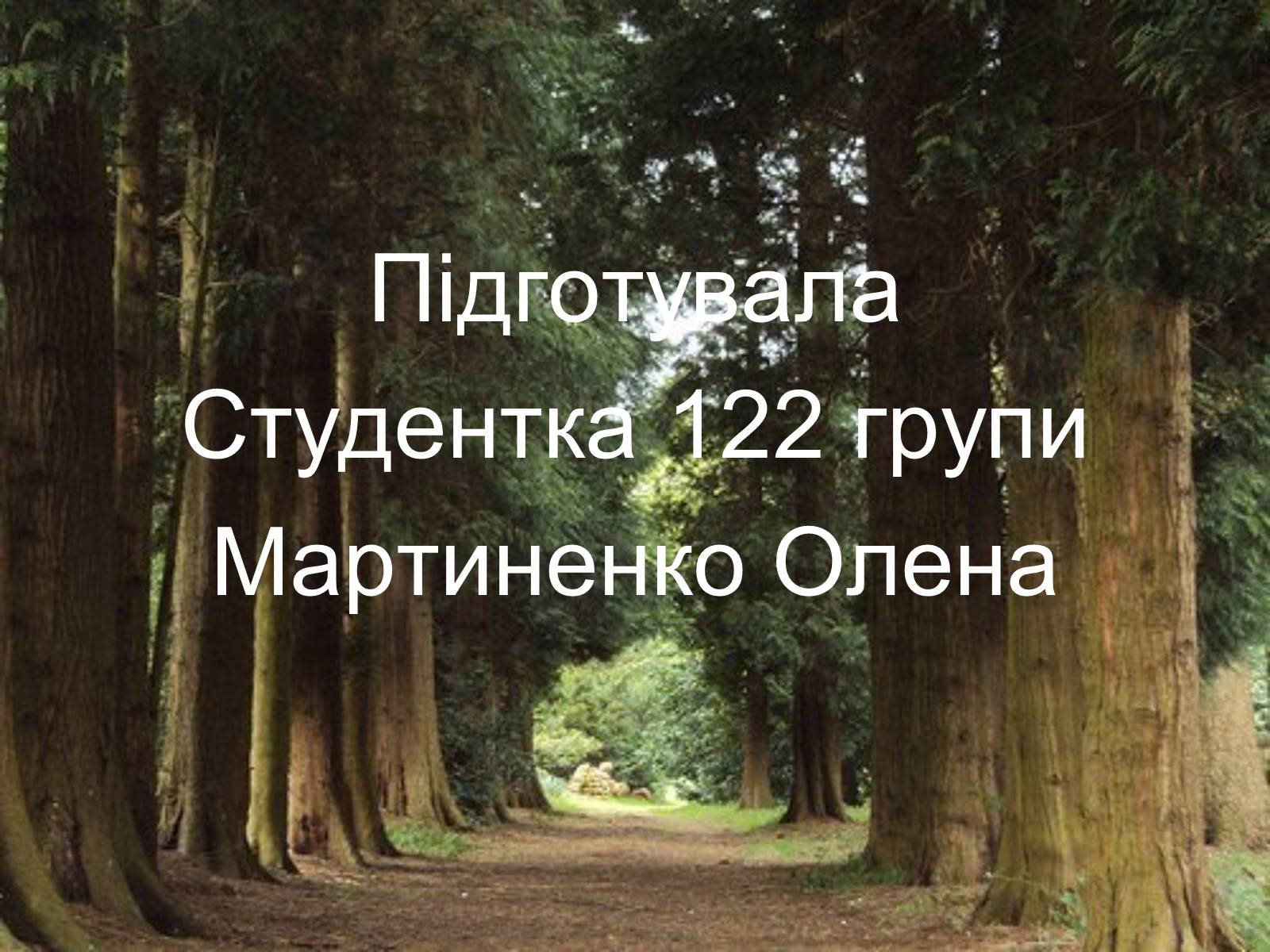 Презентація на тему «Проект удосконалення власного мовлення» - Слайд #11