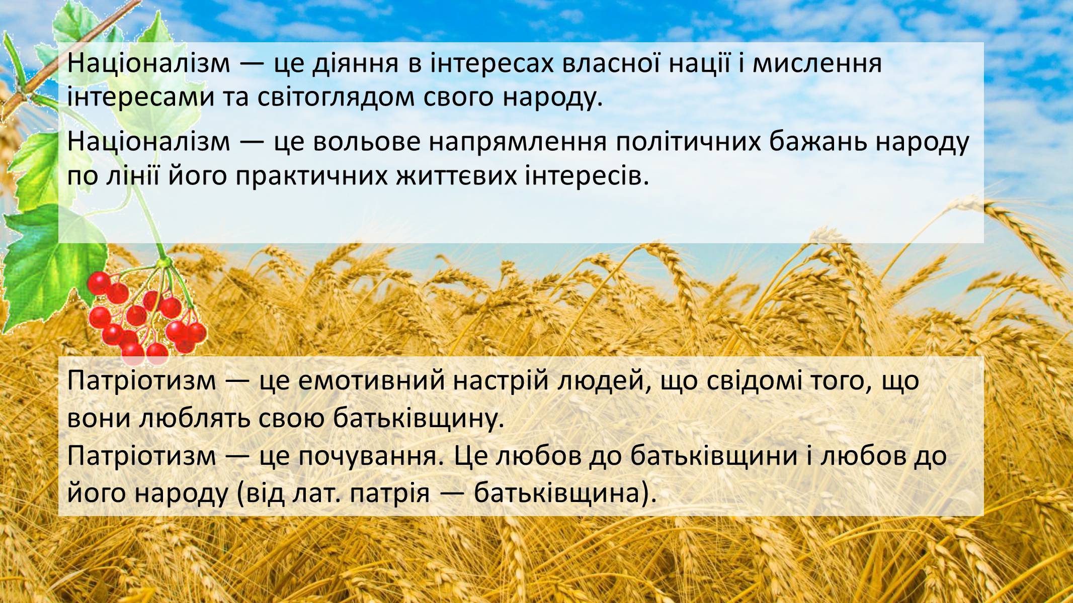 Презентація на тему «Націоналізм та Патріотизм» - Слайд #4