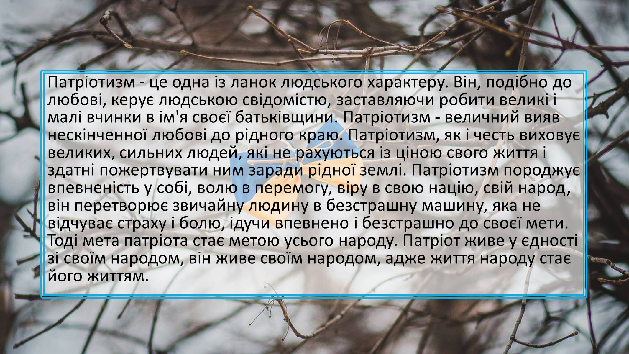 Презентація на тему «Націоналізм та Патріотизм» - Слайд #9