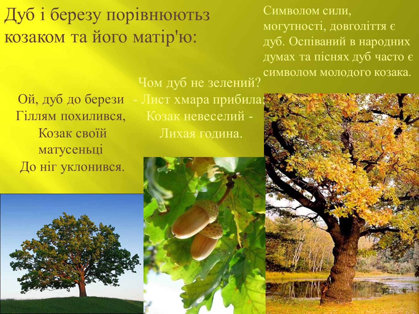 Презентація на тему «Символіка українських народних пісень» - Слайд #16