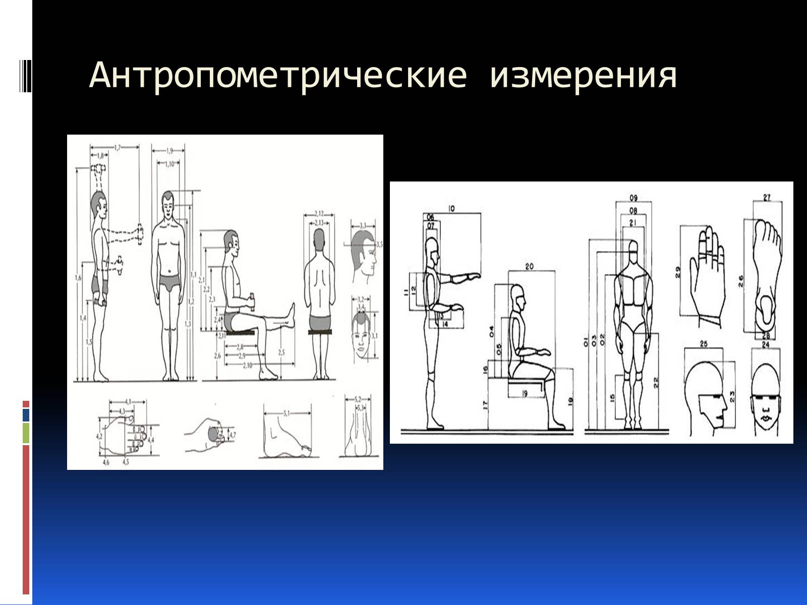 Антропометрические исследования. Эргономика и антропометрия. Антропометрическиtизмерениz. Перечислите антропометрические измерения. Антропометрия это измерение.