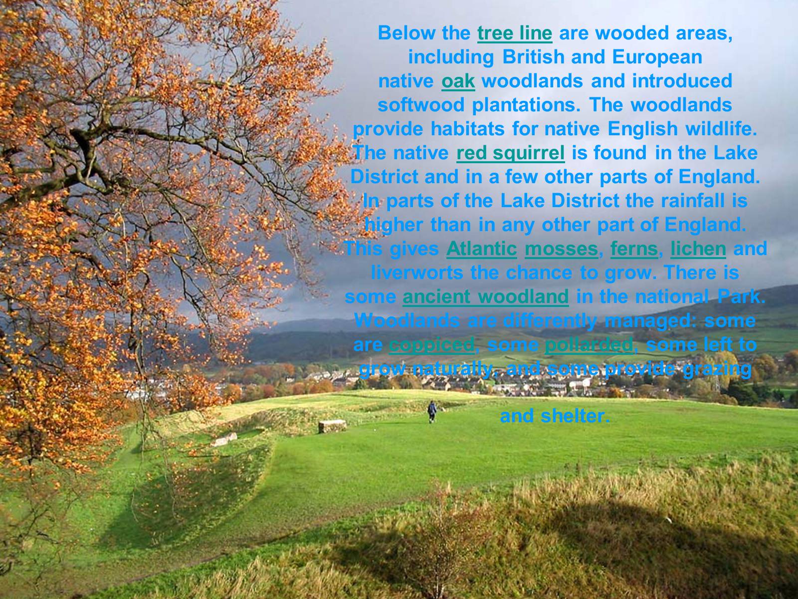 Презентація на тему «National Park Lake District» - Слайд #6