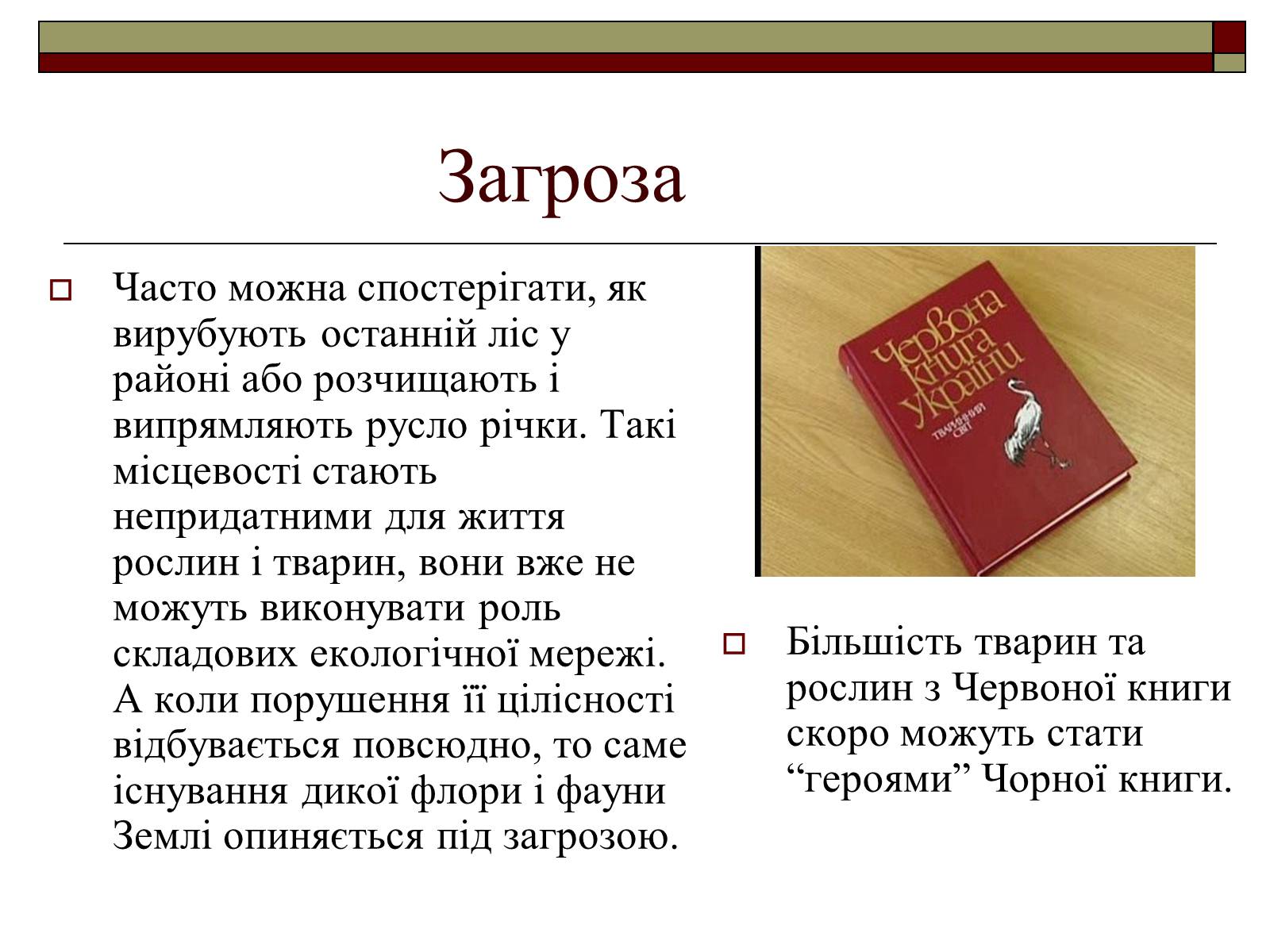 Презентація на тему «Екомережі» (варіант 1) - Слайд #7