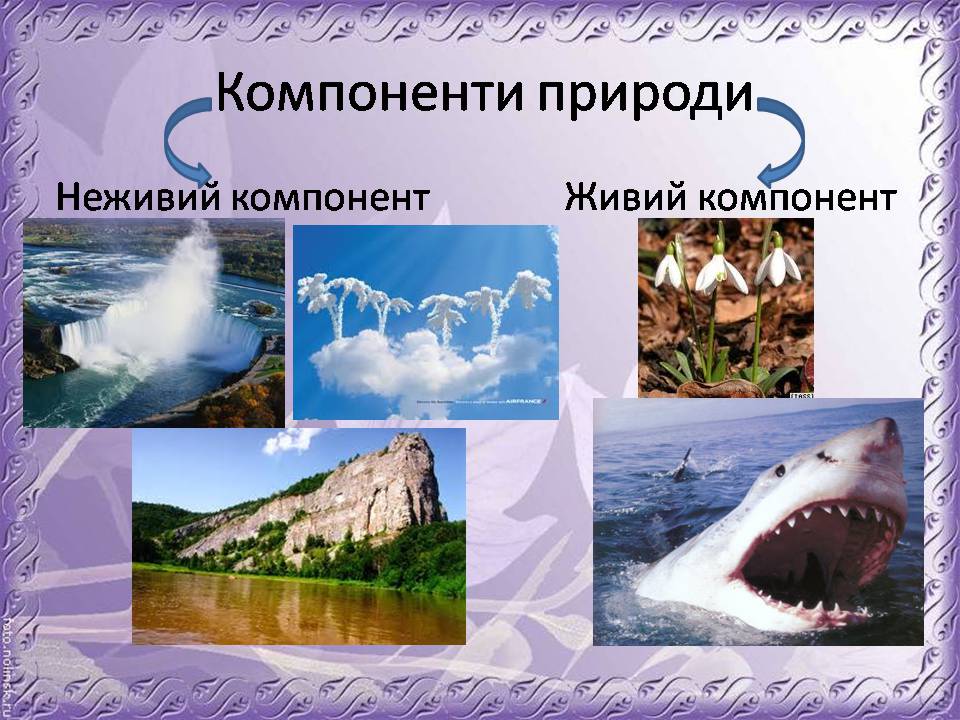 Презентація на тему «Основні антропогенні джерела забруднення навколишнього середовища» (варіант 4) - Слайд #5