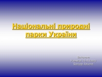 Презентація на тему «Національні природні парки України» (варіант 2)