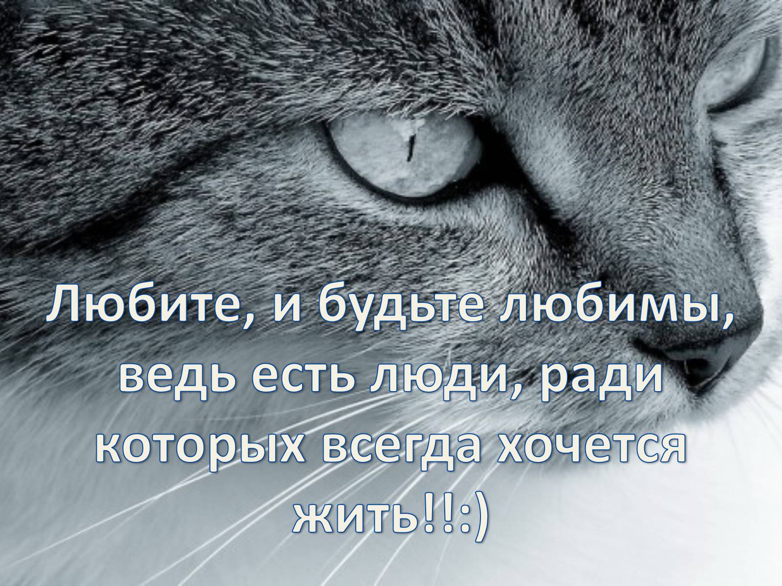 Презентація на тему «Любовь - это…?» - Слайд #12