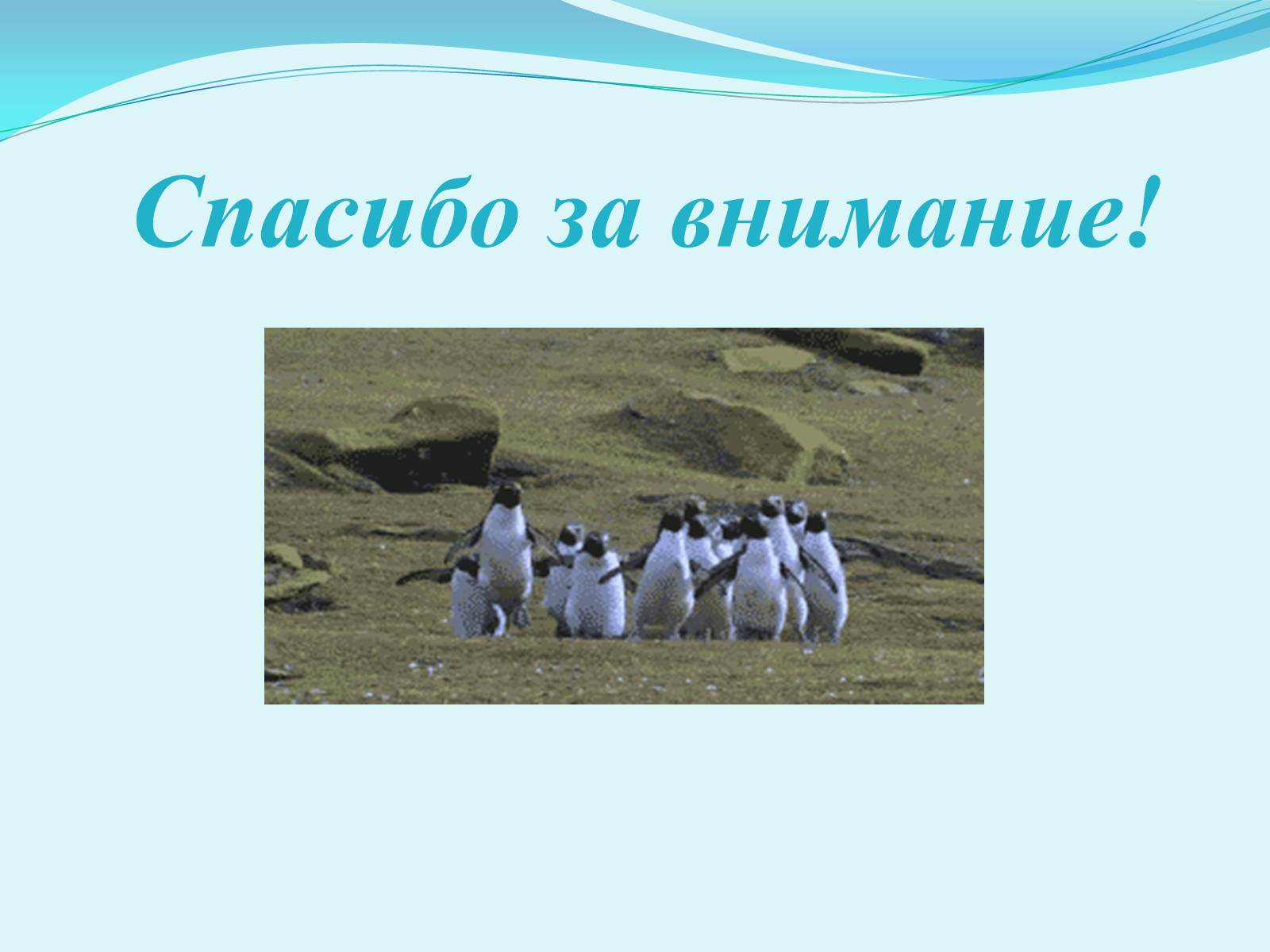 Презентація на тему «Профессия лингвист-переводчик» - Слайд #9