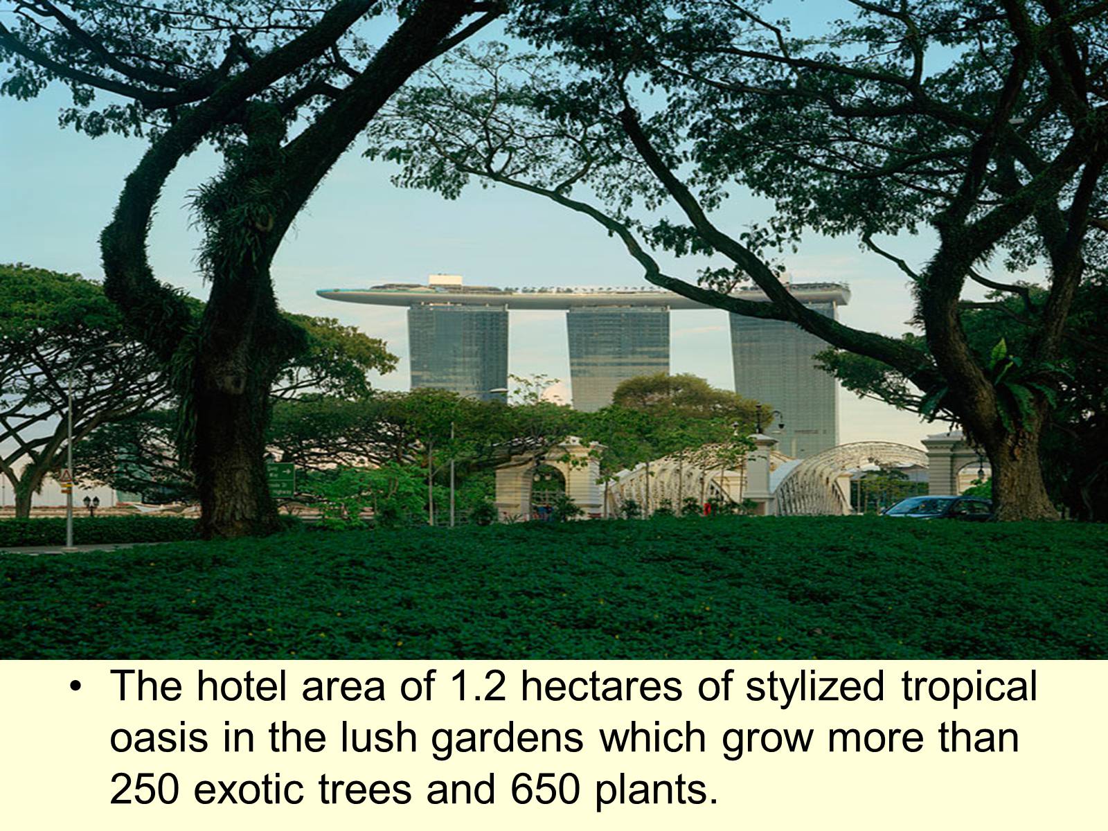 Презентація на тему «Singapore Hotel Marina» - Слайд #8