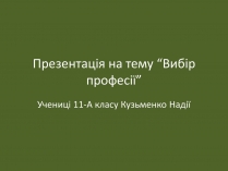 Презентація на тему «Вибір професії» (варіант 2)