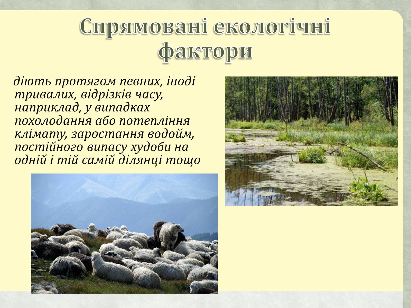 Презентація на тему «Екологічні чинники» (варіант 1) - Слайд #15