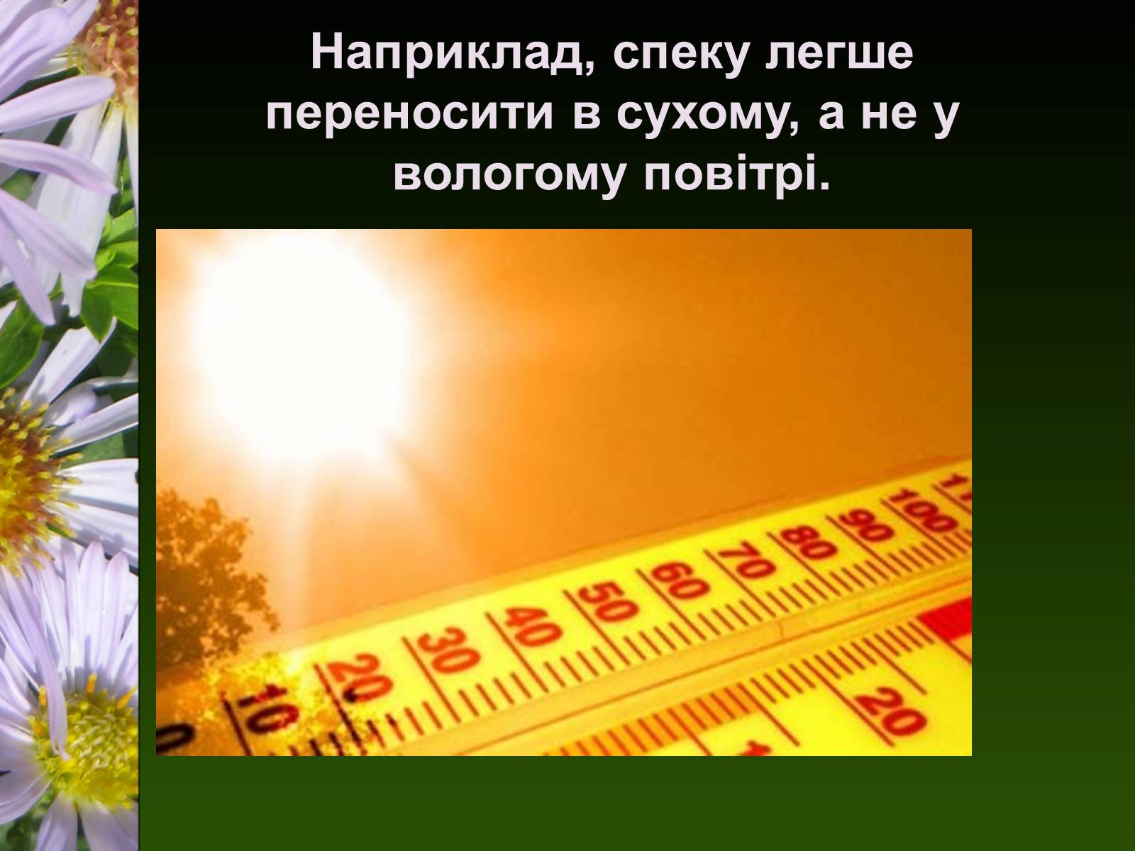 Презентація на тему «Екологічні чинники» (варіант 1) - Слайд #18