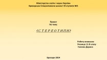 Презентація на тему «Стереотипи» (варіант 8)