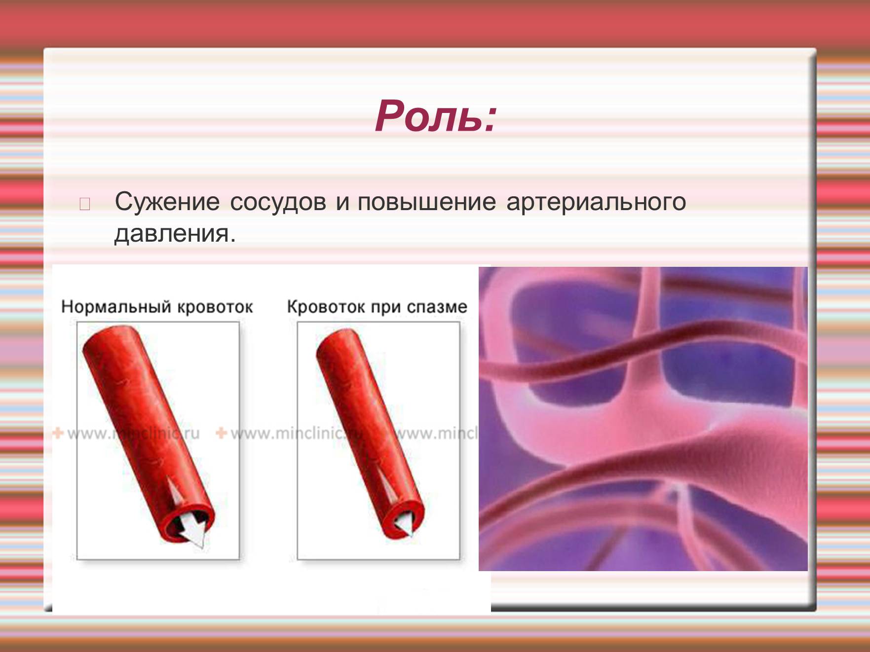 Презентація на тему «Химия эмоций» - Слайд #23