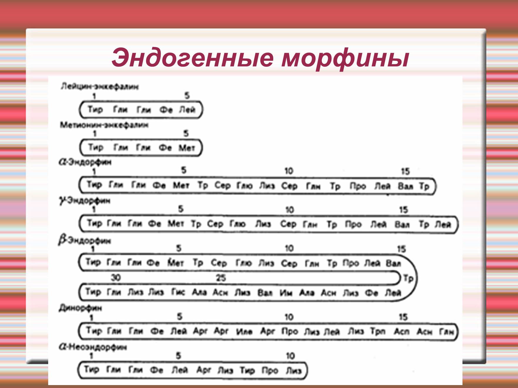 Презентація на тему «Химия эмоций» - Слайд #37