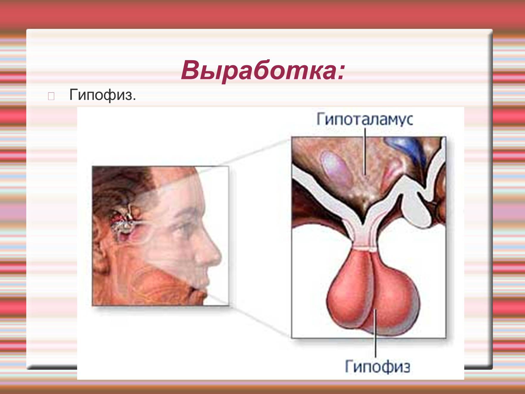 Презентація на тему «Химия эмоций» - Слайд #50