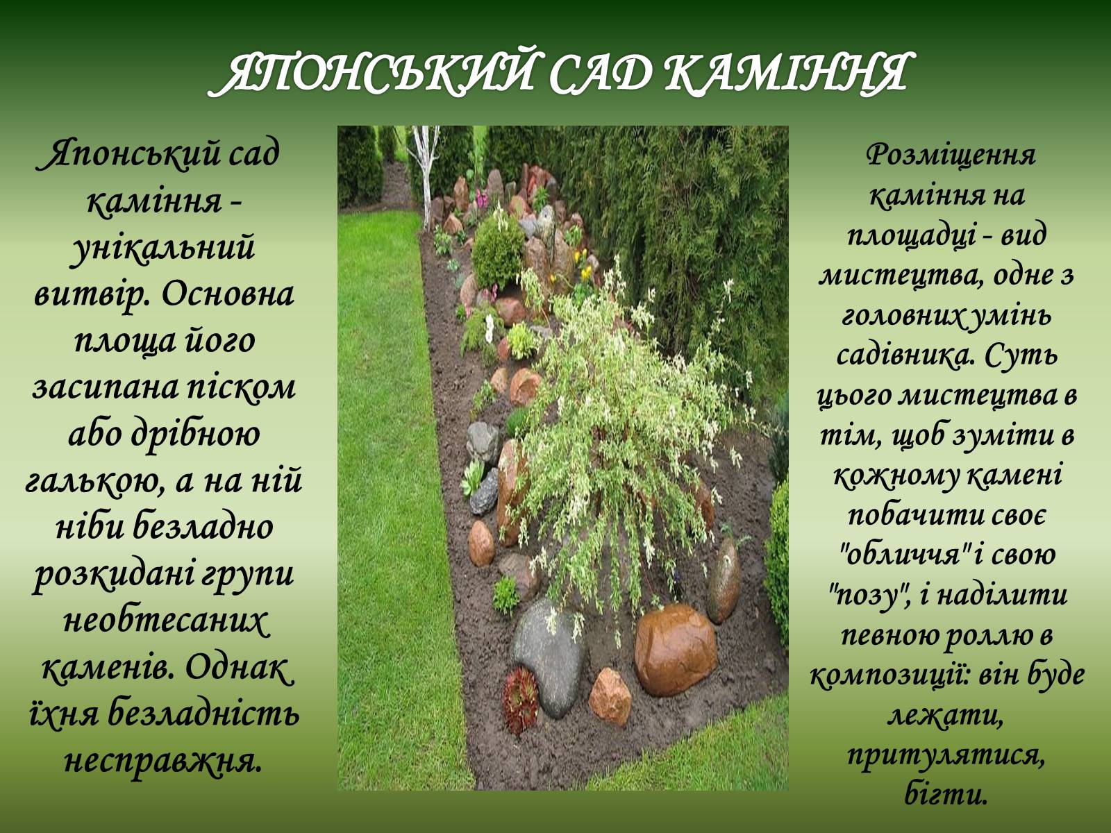 Презентація на тему «Японський сад» (варіант 2) - Слайд #6