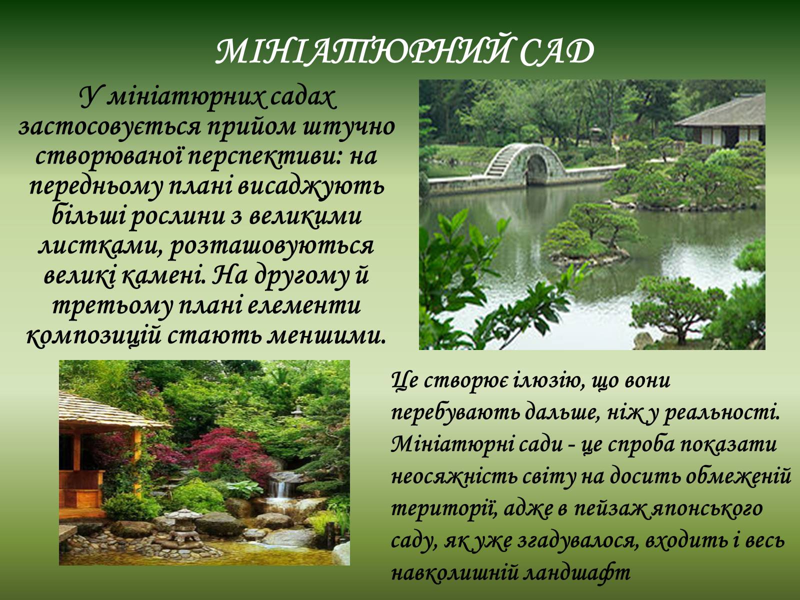 Презентація на тему «Японський сад» (варіант 2) - Слайд #8